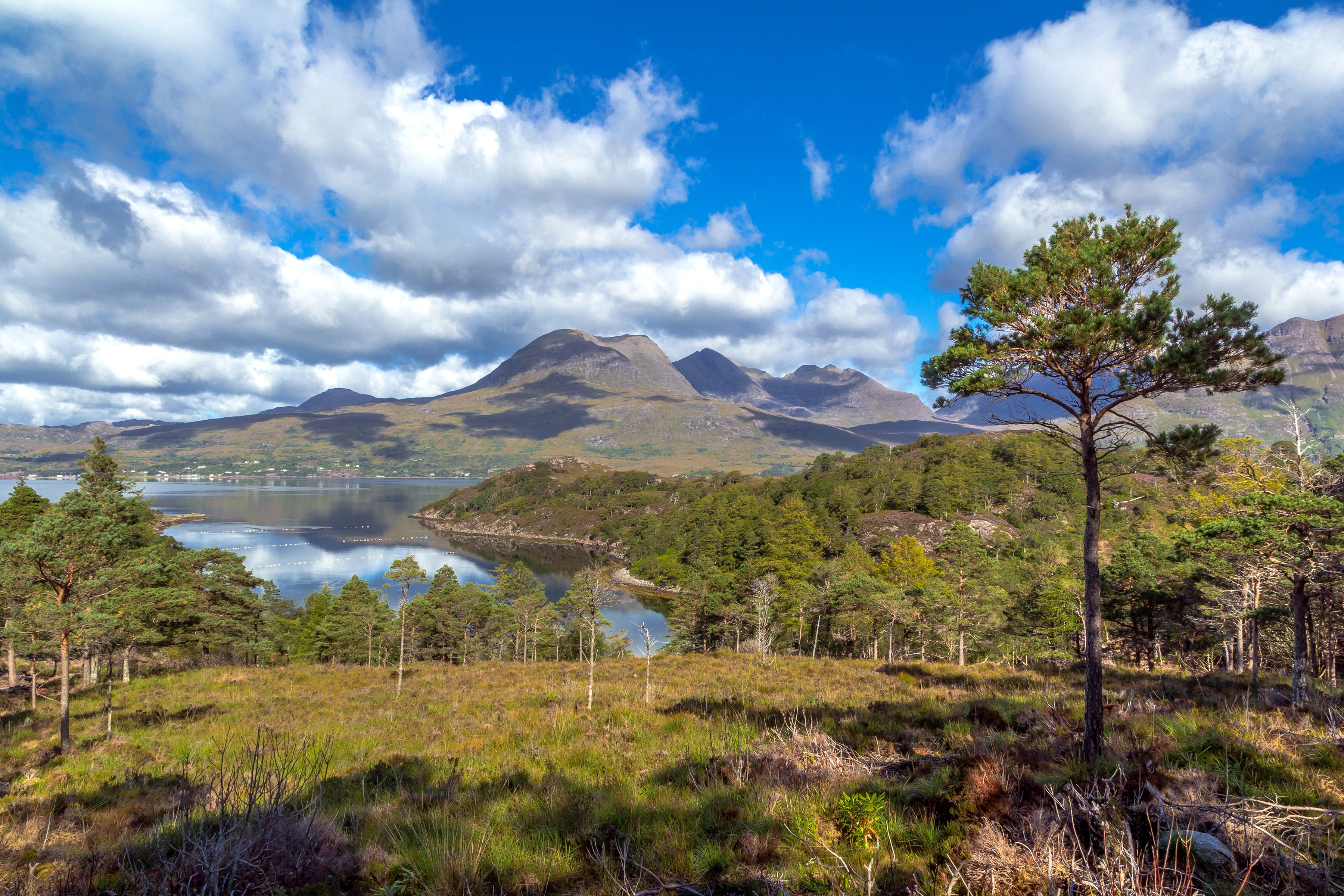 Upper Loch Torridon, Scotland with Mountains and Trees HD Wallpaper