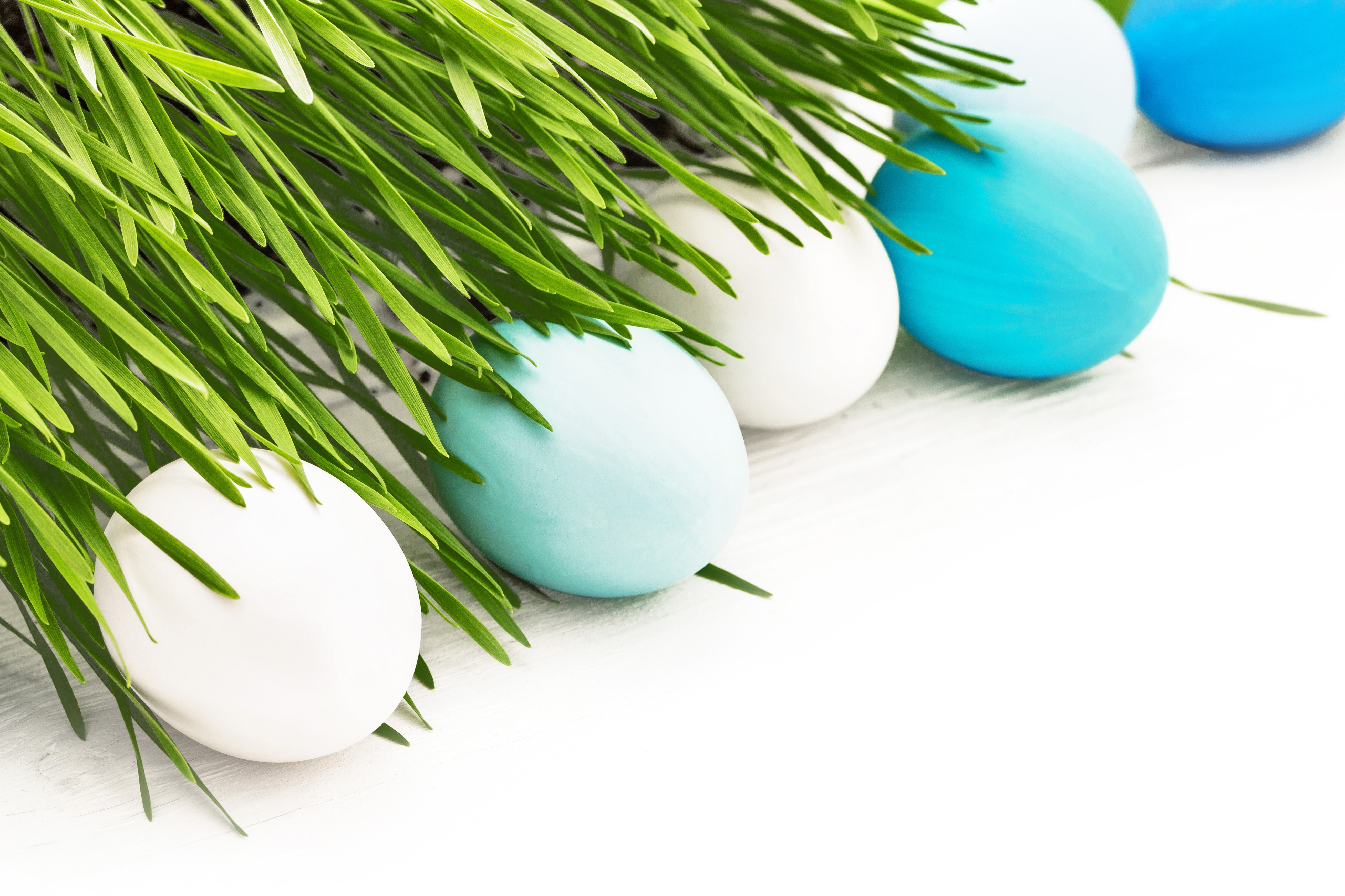 Easter Eggs in Green Grass HD Wallpaper