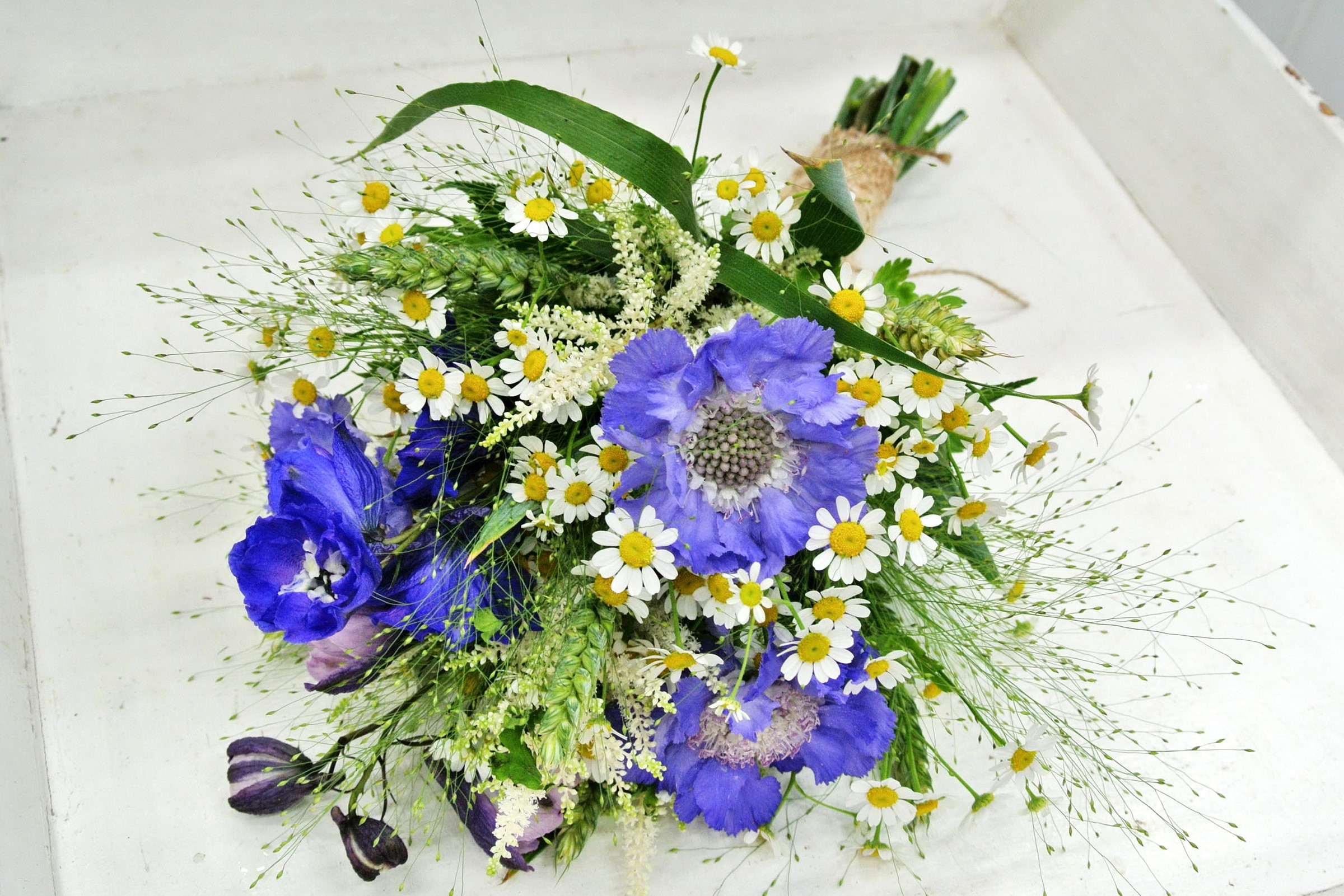 Bouquet of camomiles and blue anemones with greenery HD Wallpaper