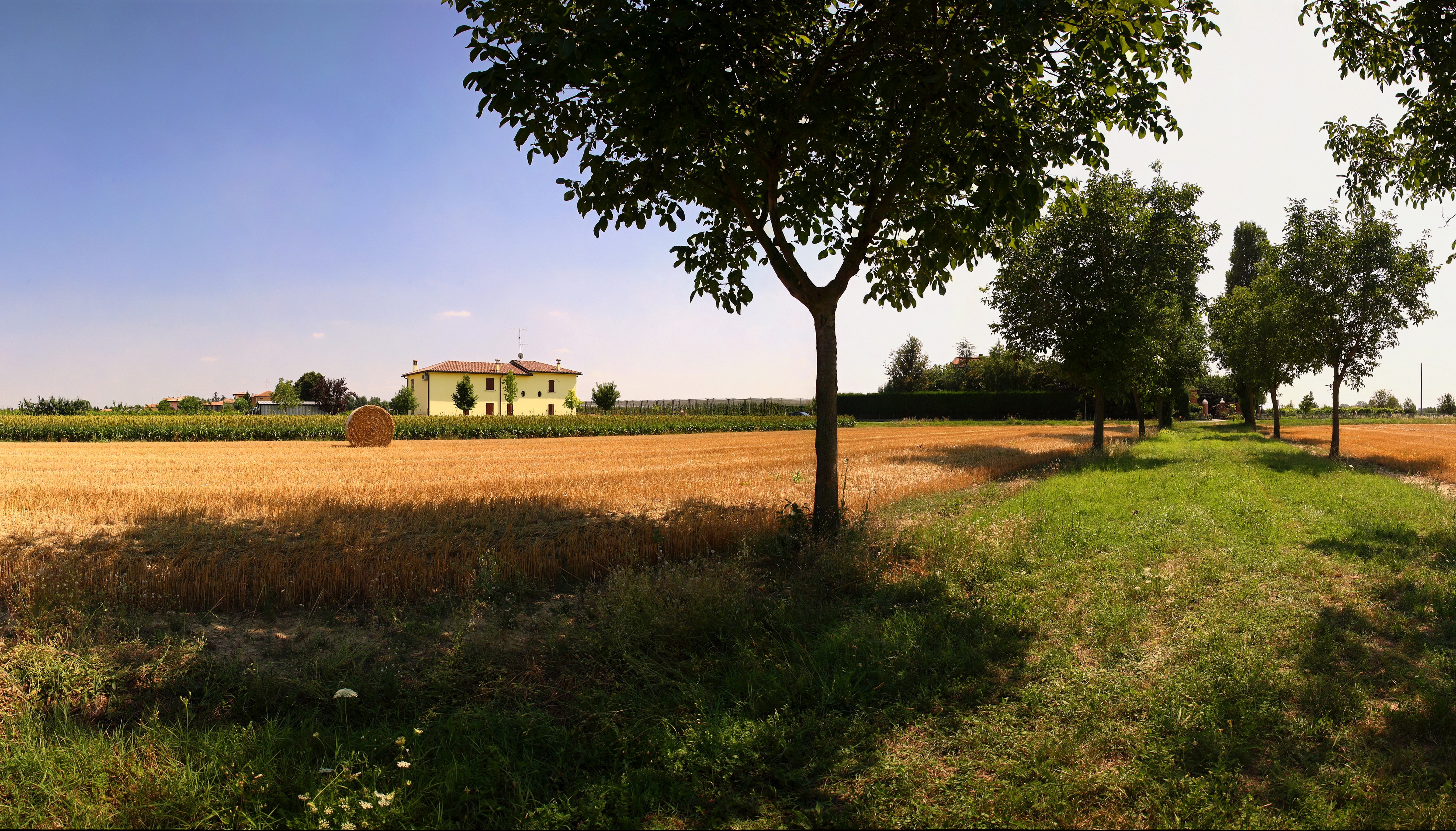 Wheat Field with Hay Bale and Farmhouse HD Wallpaper