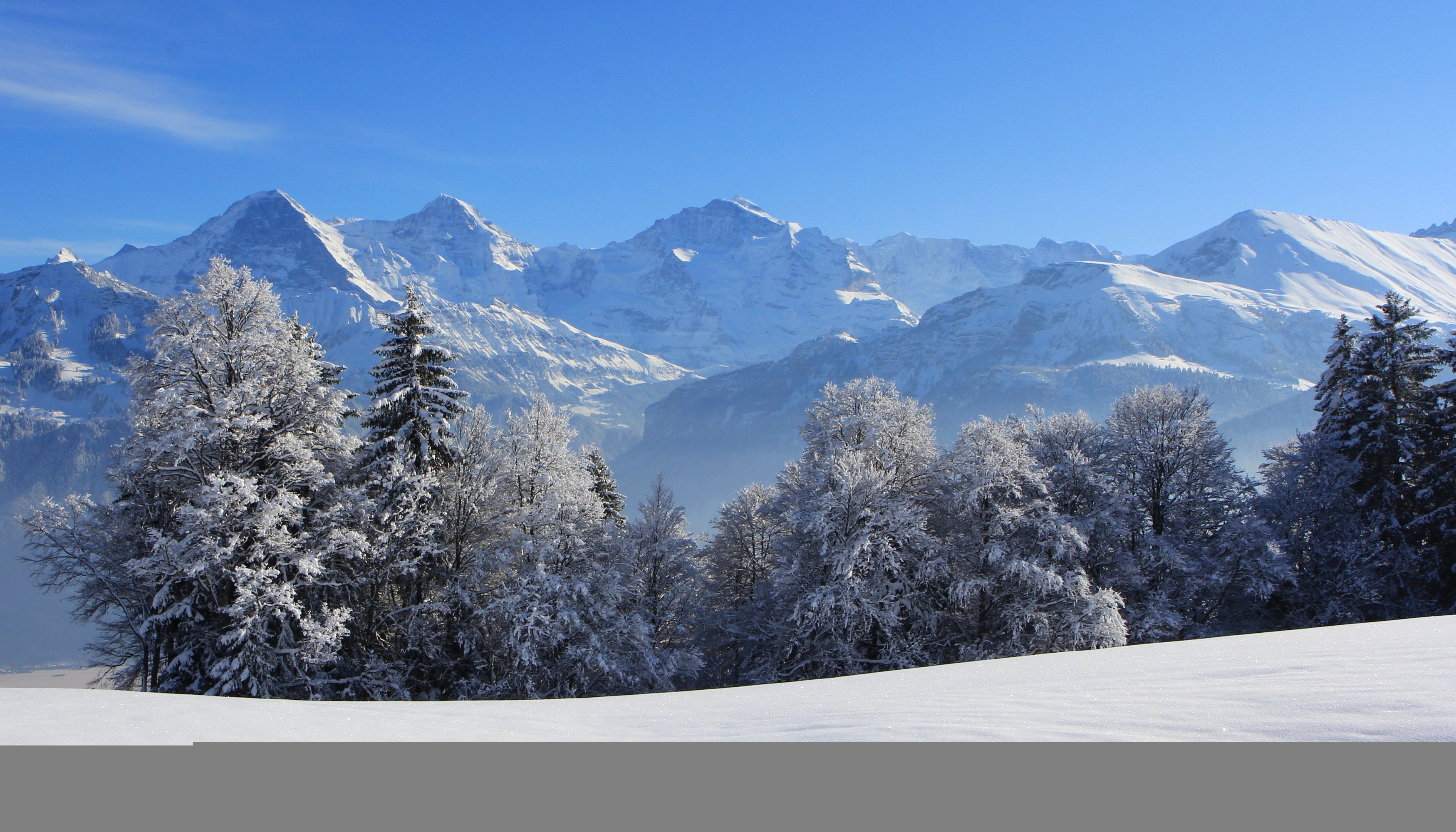Snow-covered mountains and trees in Switzerland HD Wallpaper