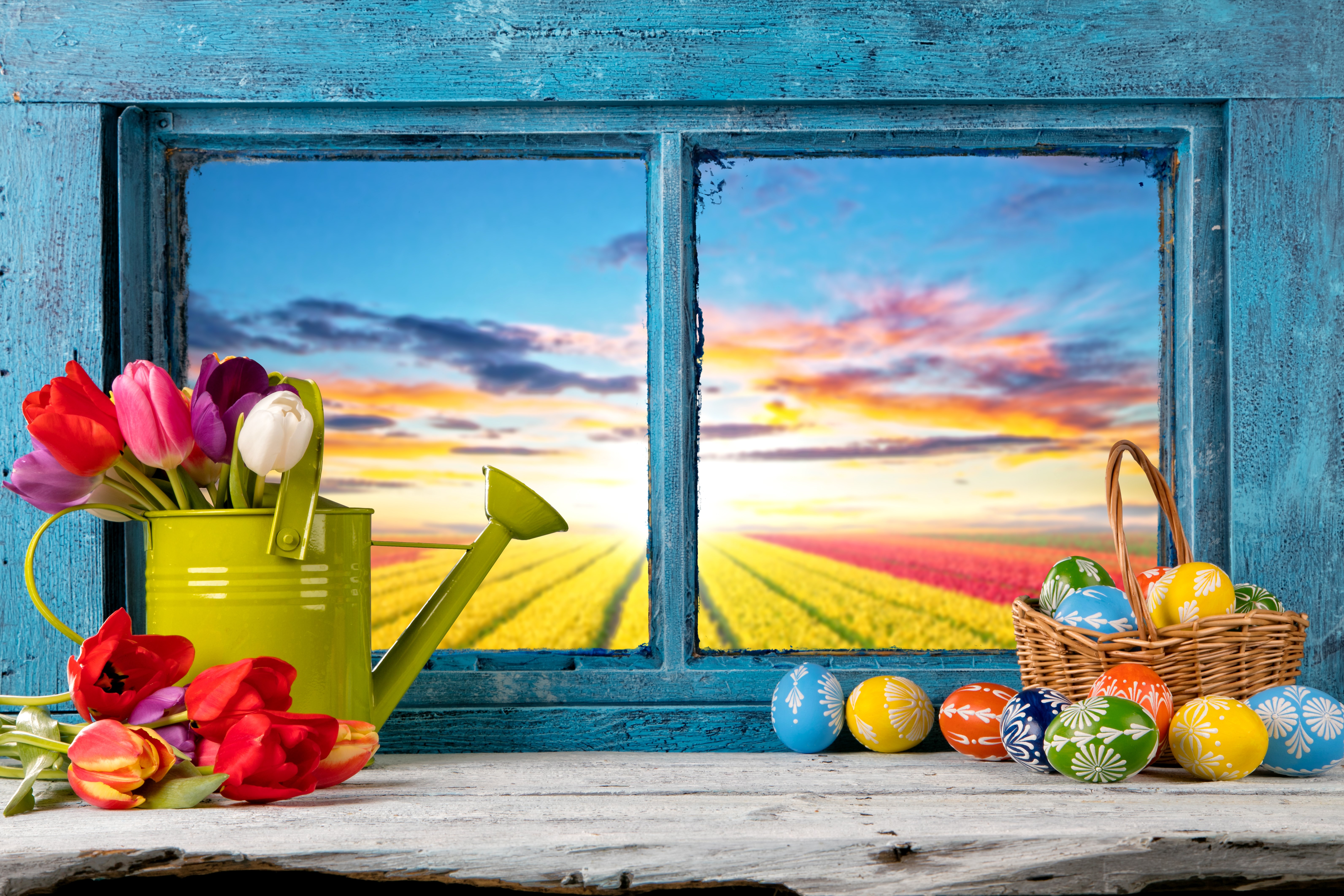 Easter Tulips and Eggs by a Window HD Wallpaper