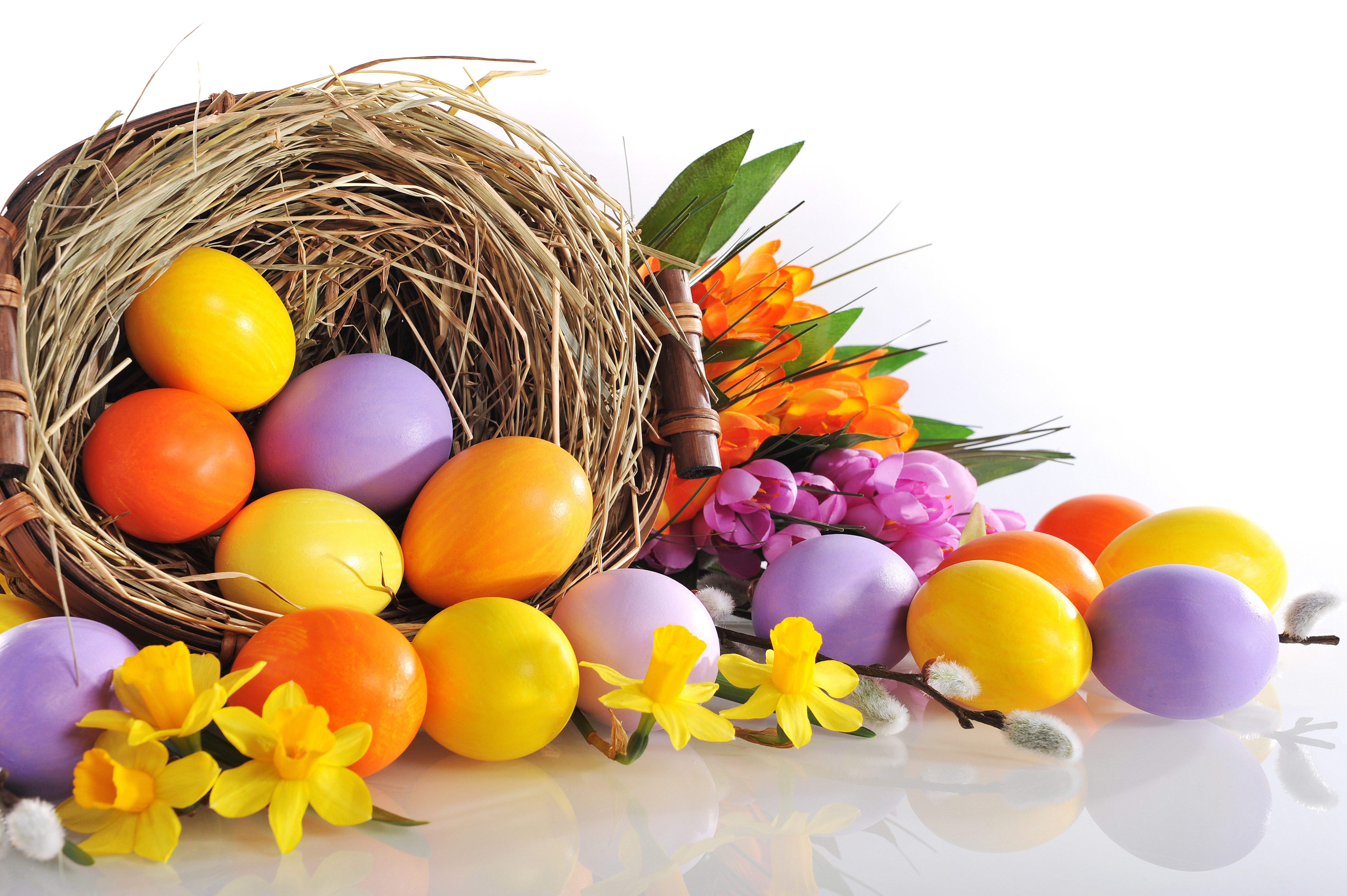 Easter Eggs in a Nest with Flowers HD Wallpaper
