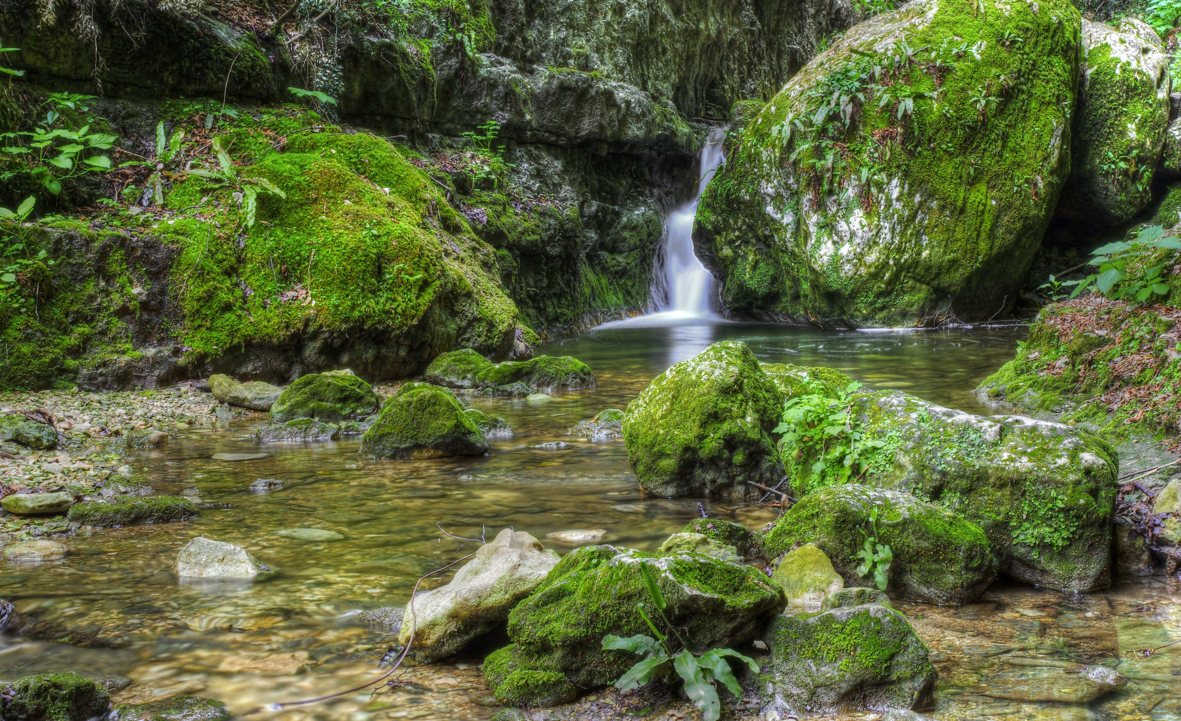 Stones with moss in Mondrago Veneto, Italy HD Wallpaper