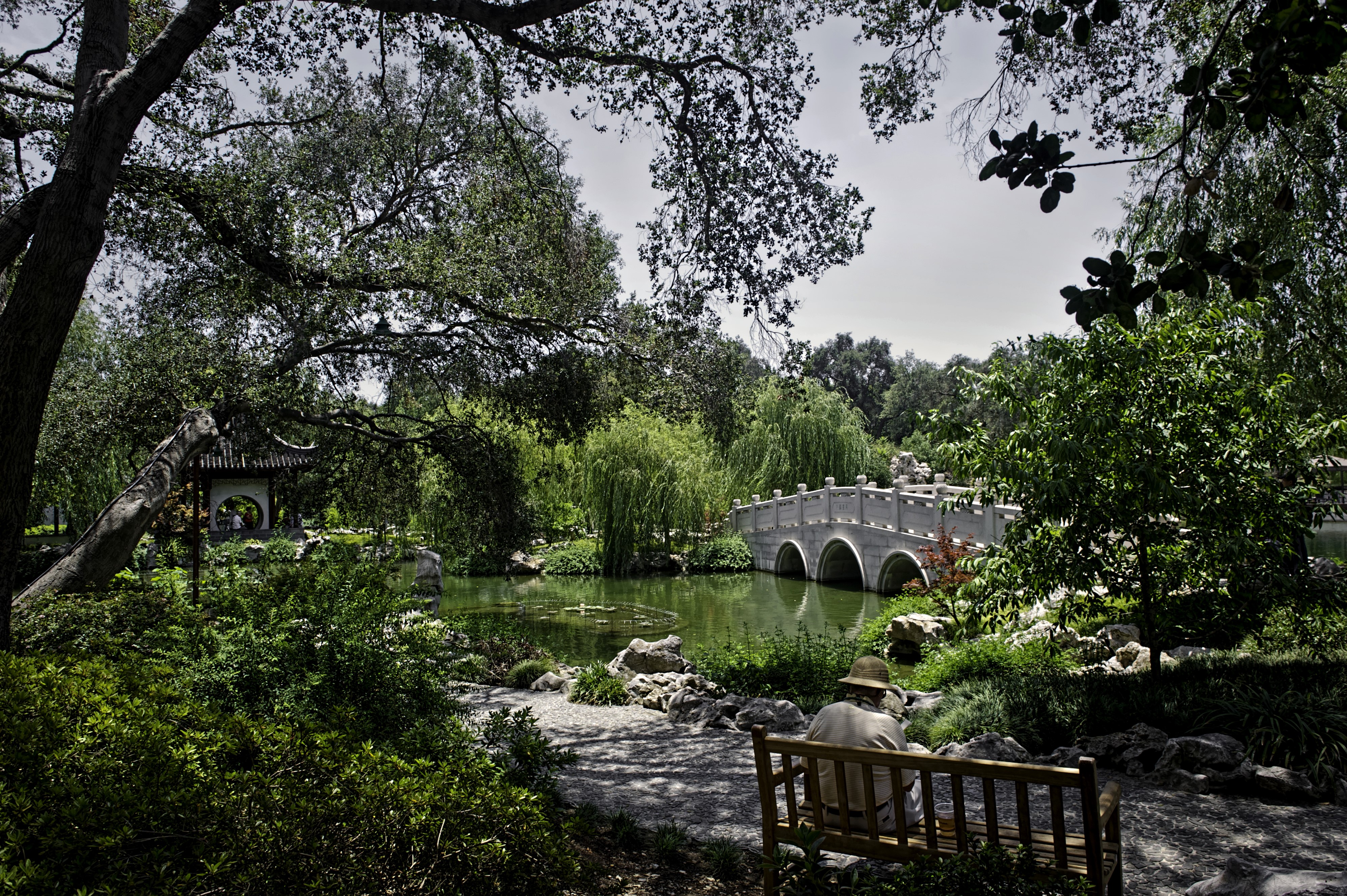 Huntington Botanical Gardens Pond with Bridge and Bench HD Wallpaper