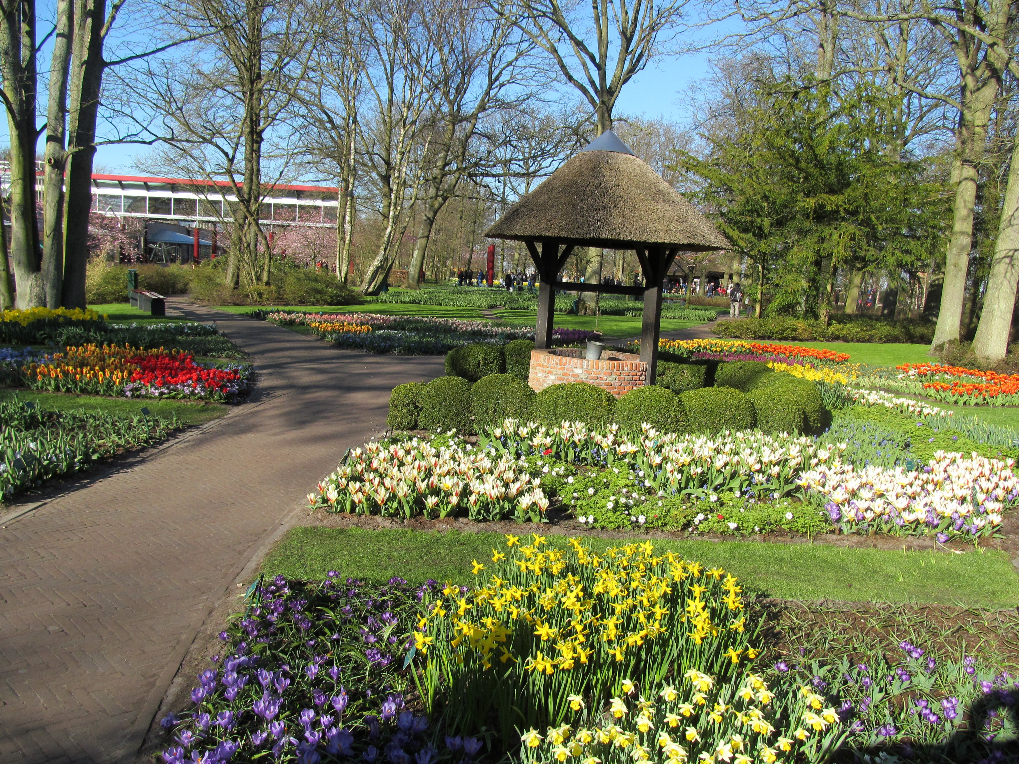 Keukenhof Gardens with Tulips, Daffodils, and Crocuses HD Wallpaper