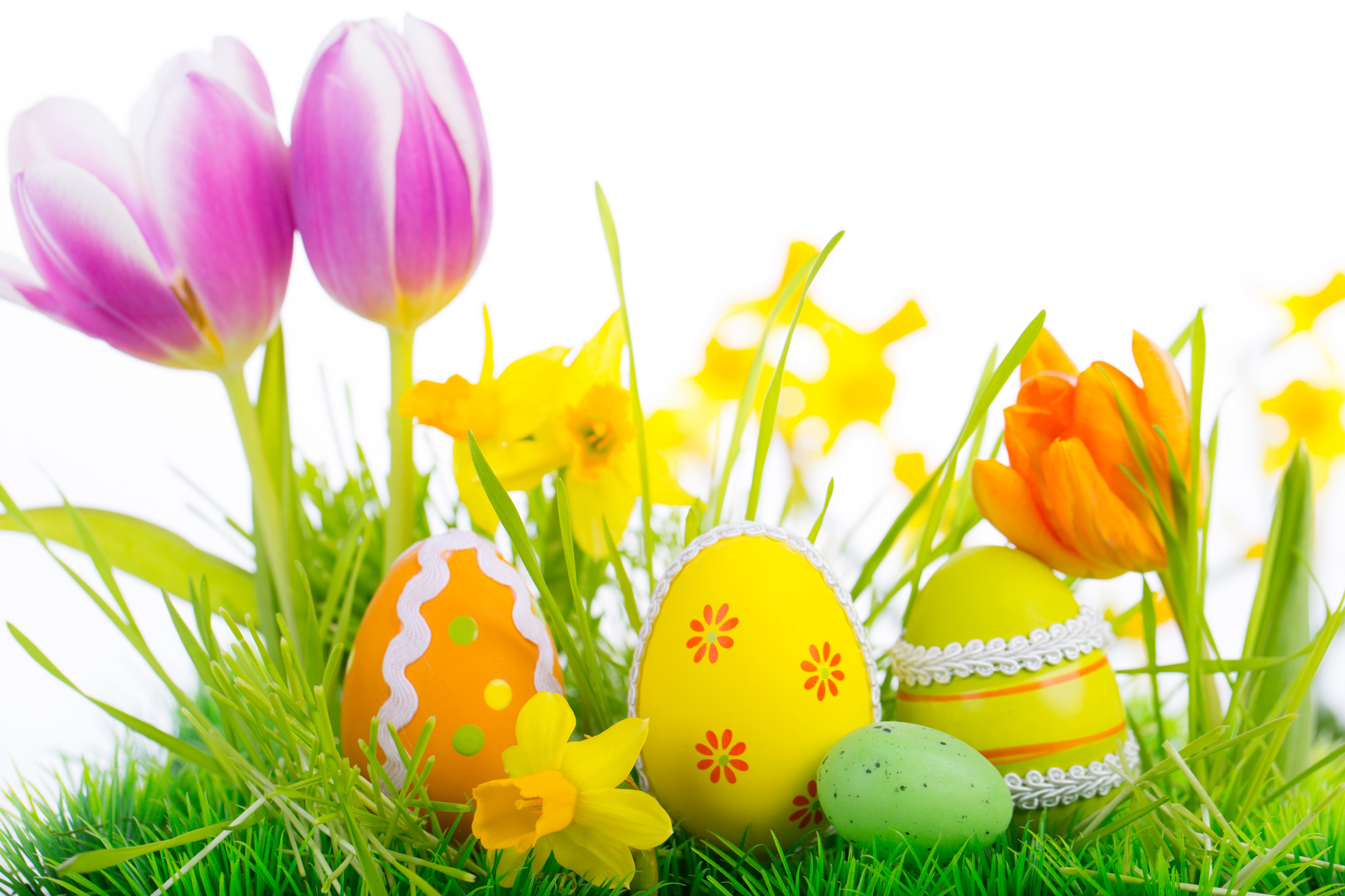 Easter Tulips, Daffodils, and Decorated Eggs in Grass HD Wallpaper