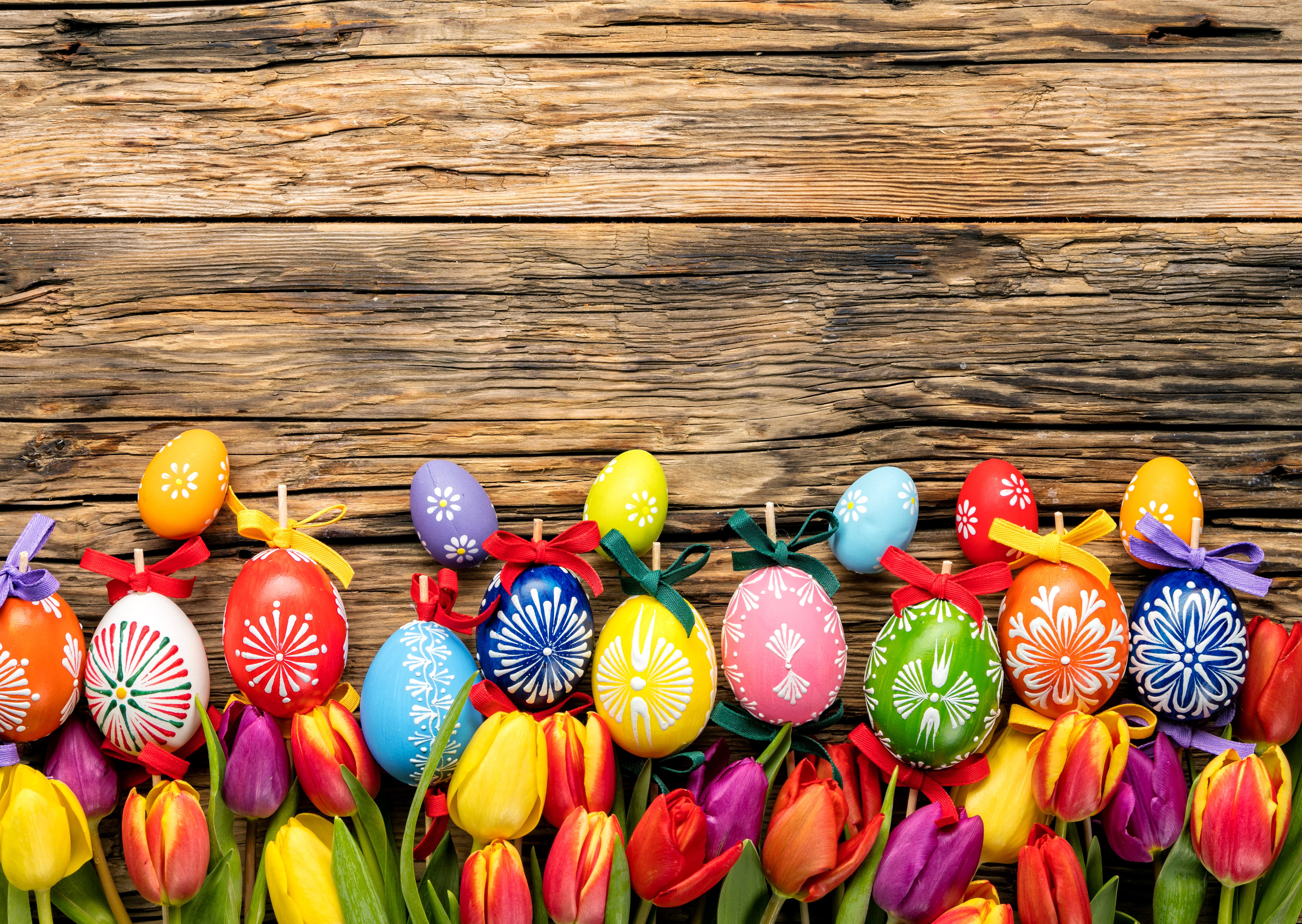 Easter Eggs and Tulips on Wooden Background HD Wallpaper