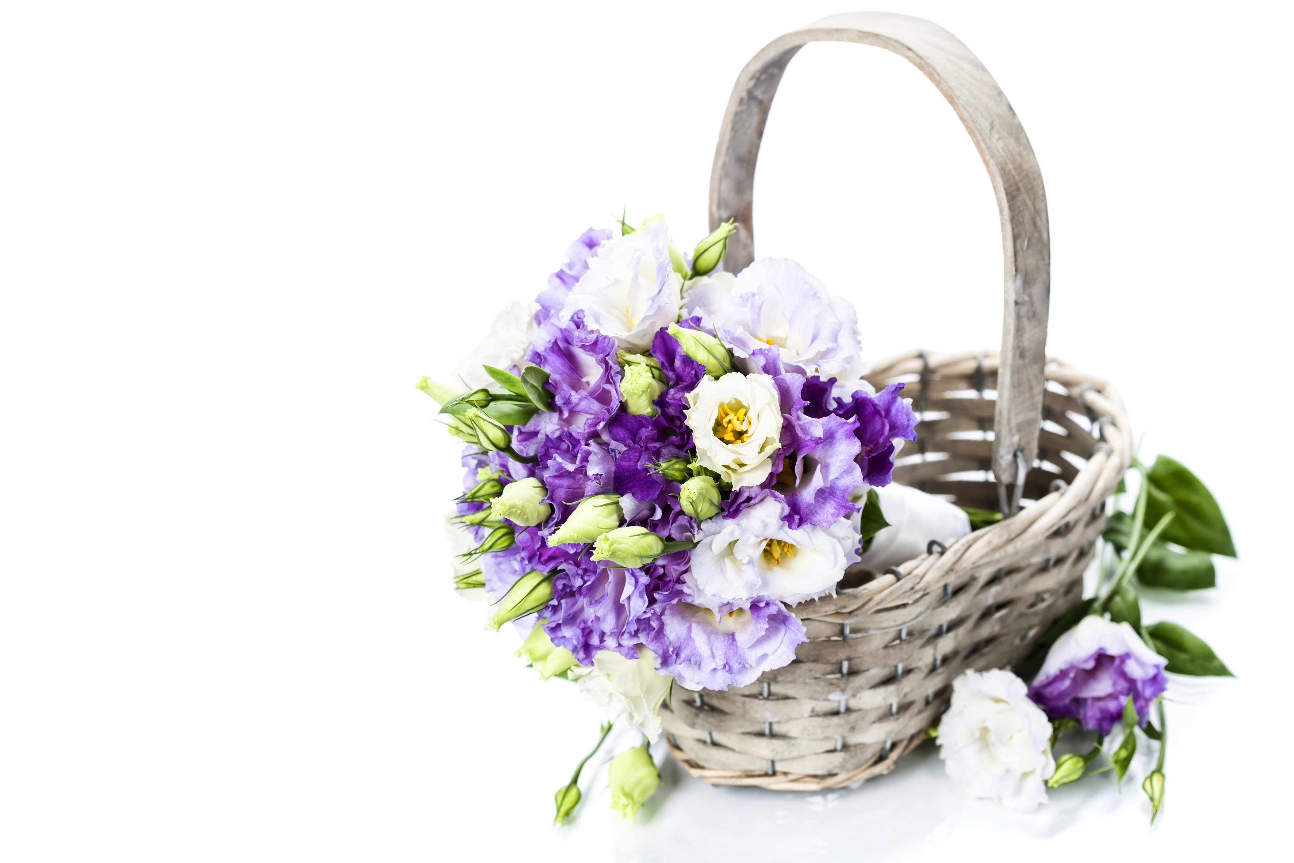 Bouquets in a wicker basket on a white background HD Wallpaper