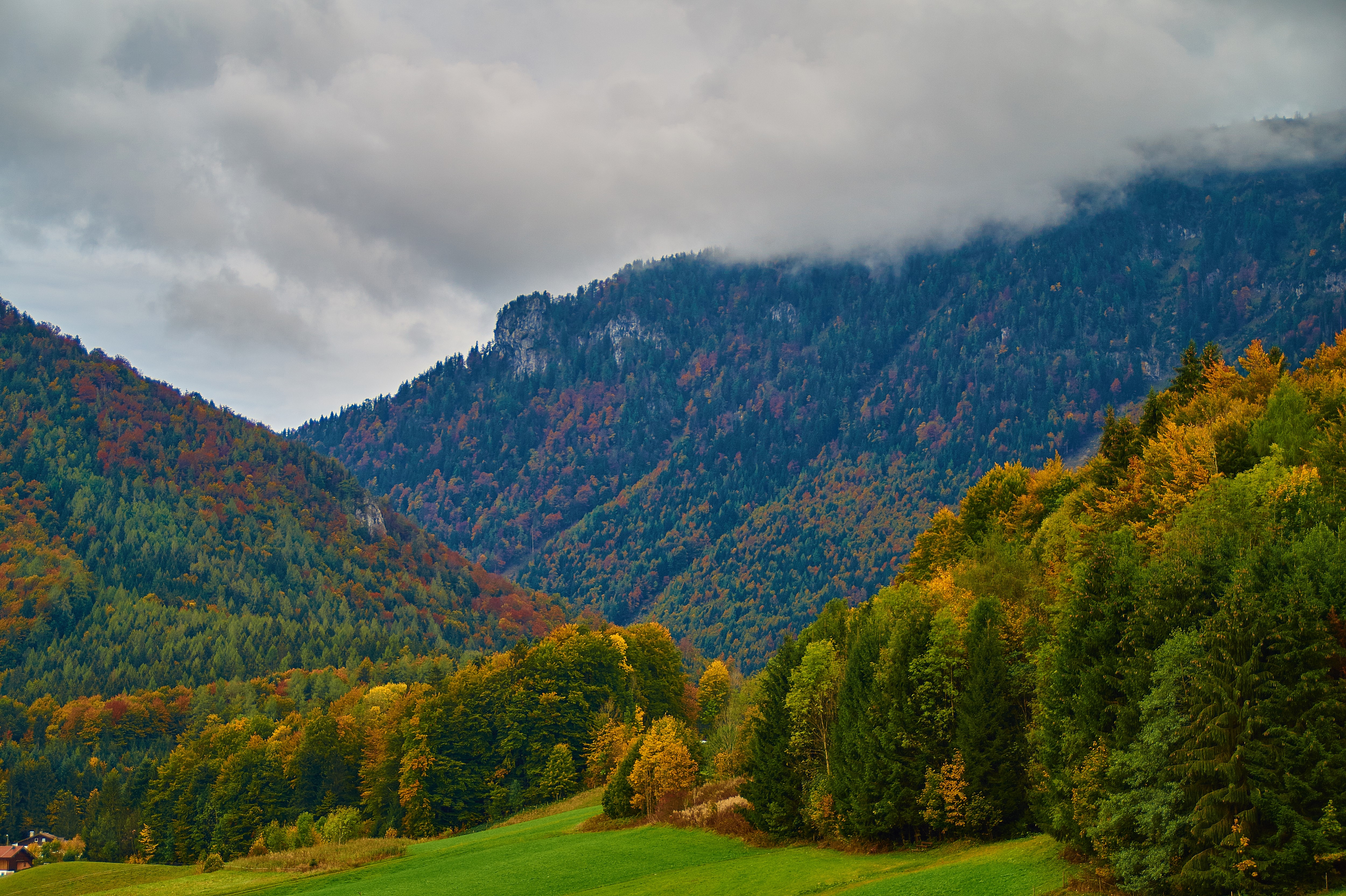 Autumn forest in the mountains of Germany HD Wallpaper