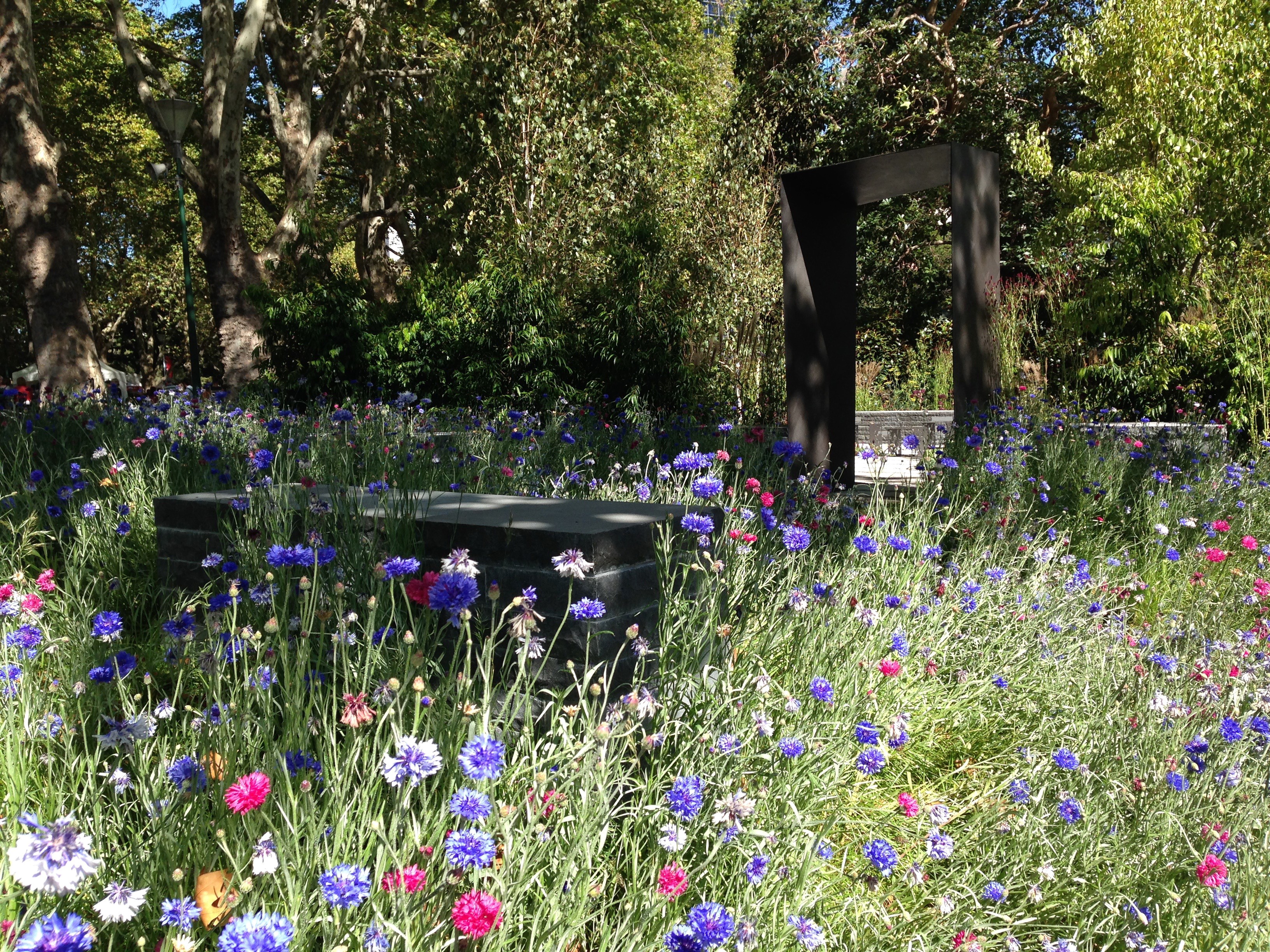 Park with Cornflowers and Trees HD Wallpaper
