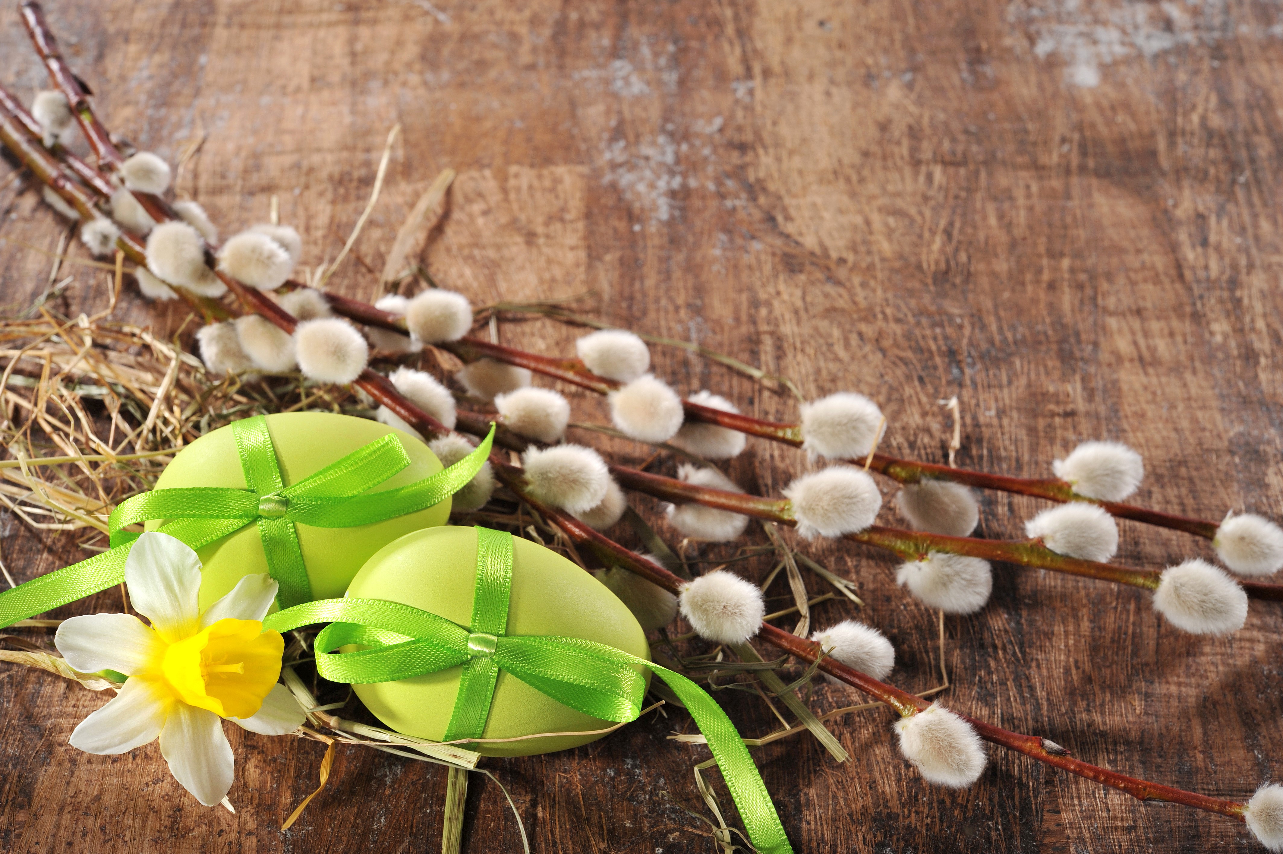Easter eggs with pussy willow branches and daffodil HD Wallpaper