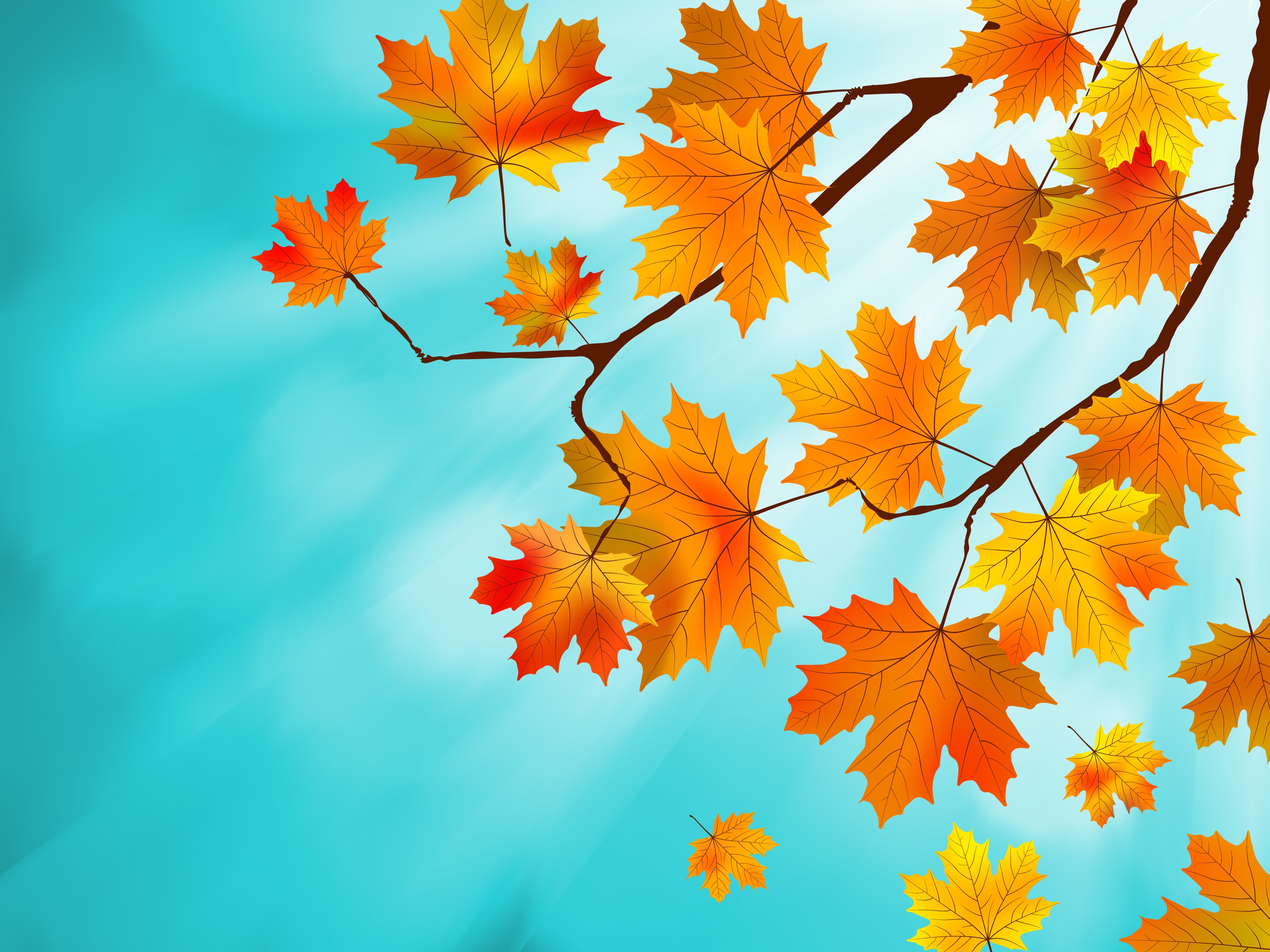 Autumn Maple Leaves on Branches HD Wallpaper