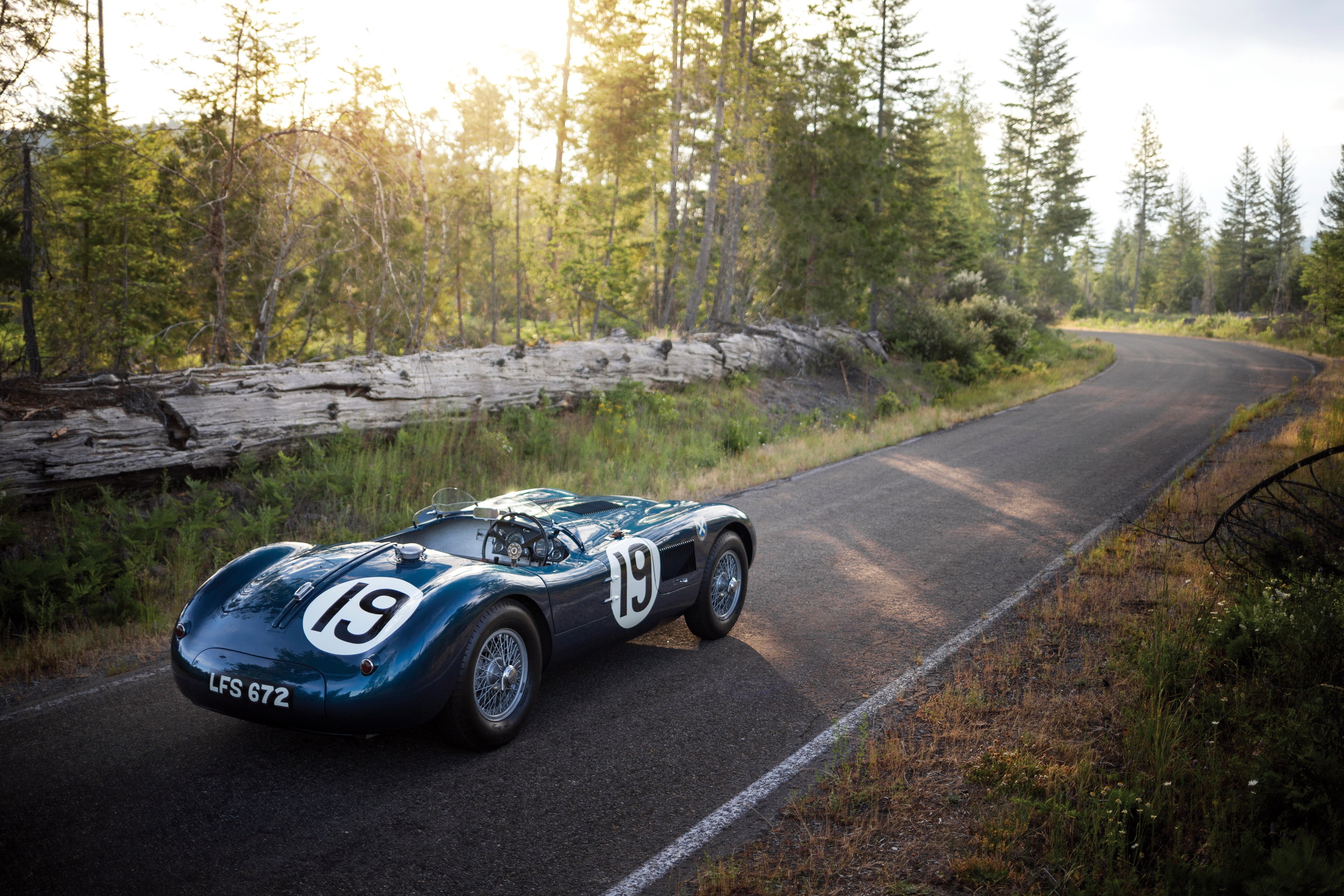 1951 Jaguar C-Type on a Forest Road HD Wallpaper
