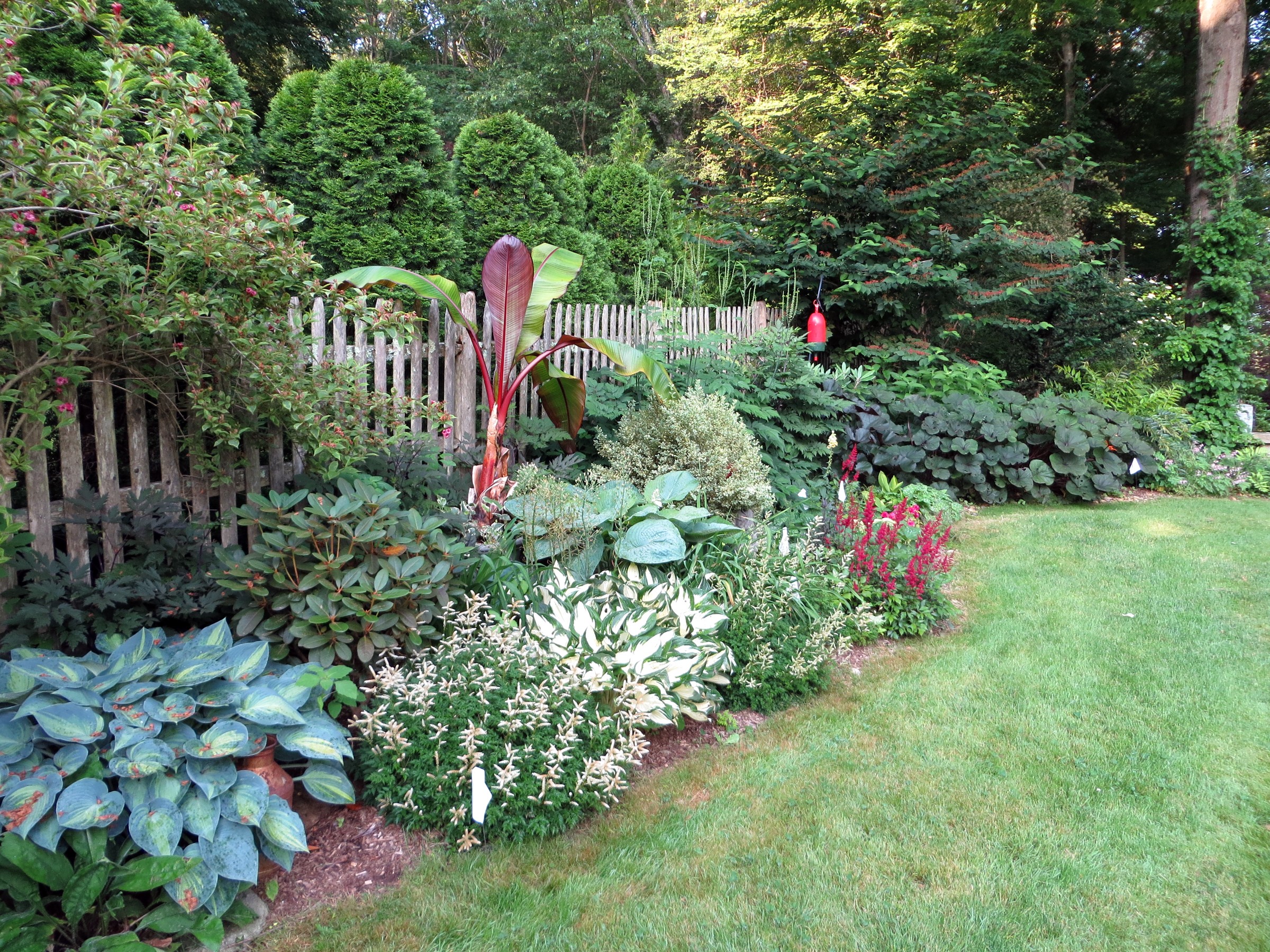 Garden with a wooden fence and various plants HD Wallpaper