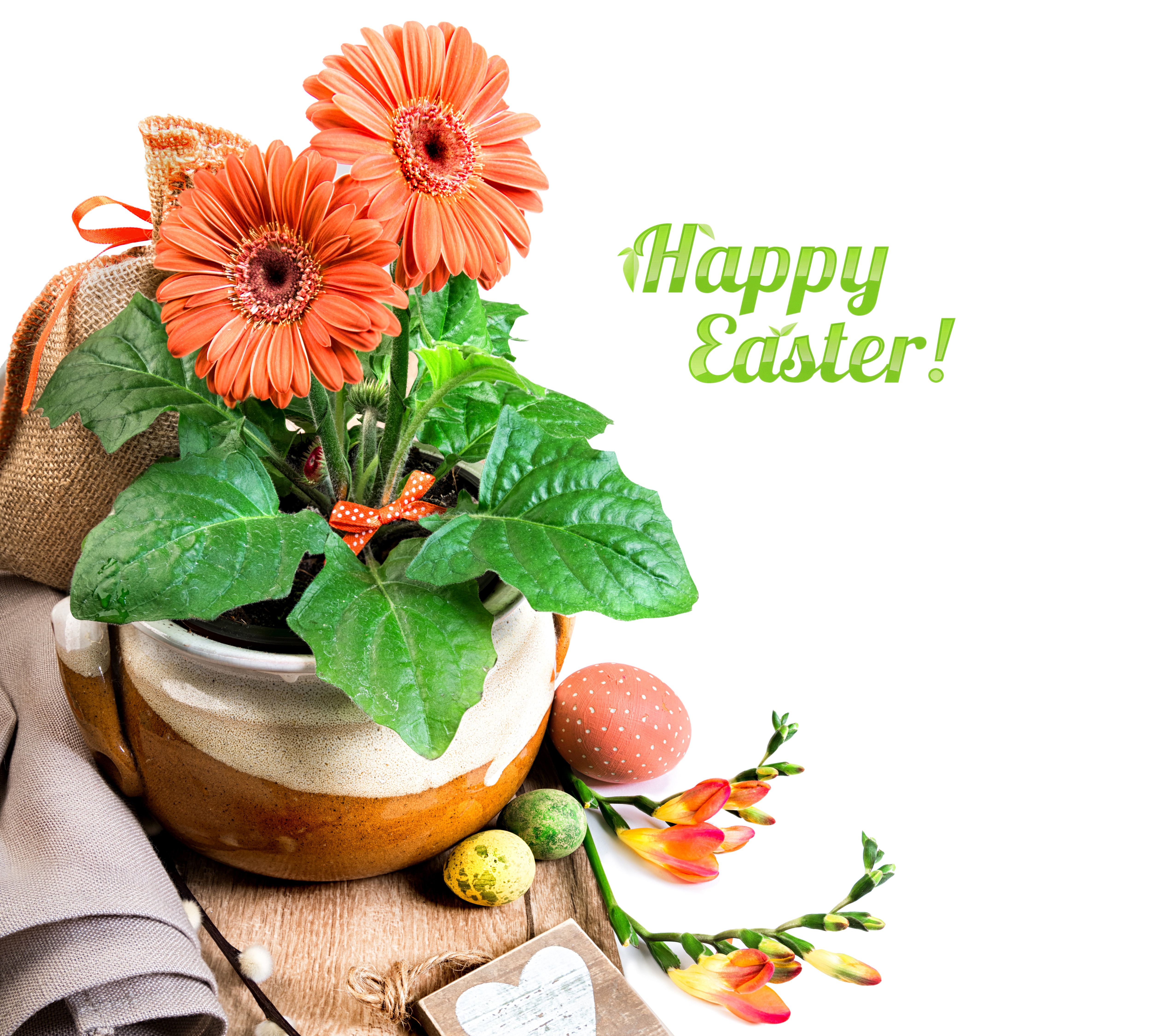 Easter Gerbera Daisies and Freesia Arrangement HD Wallpaper