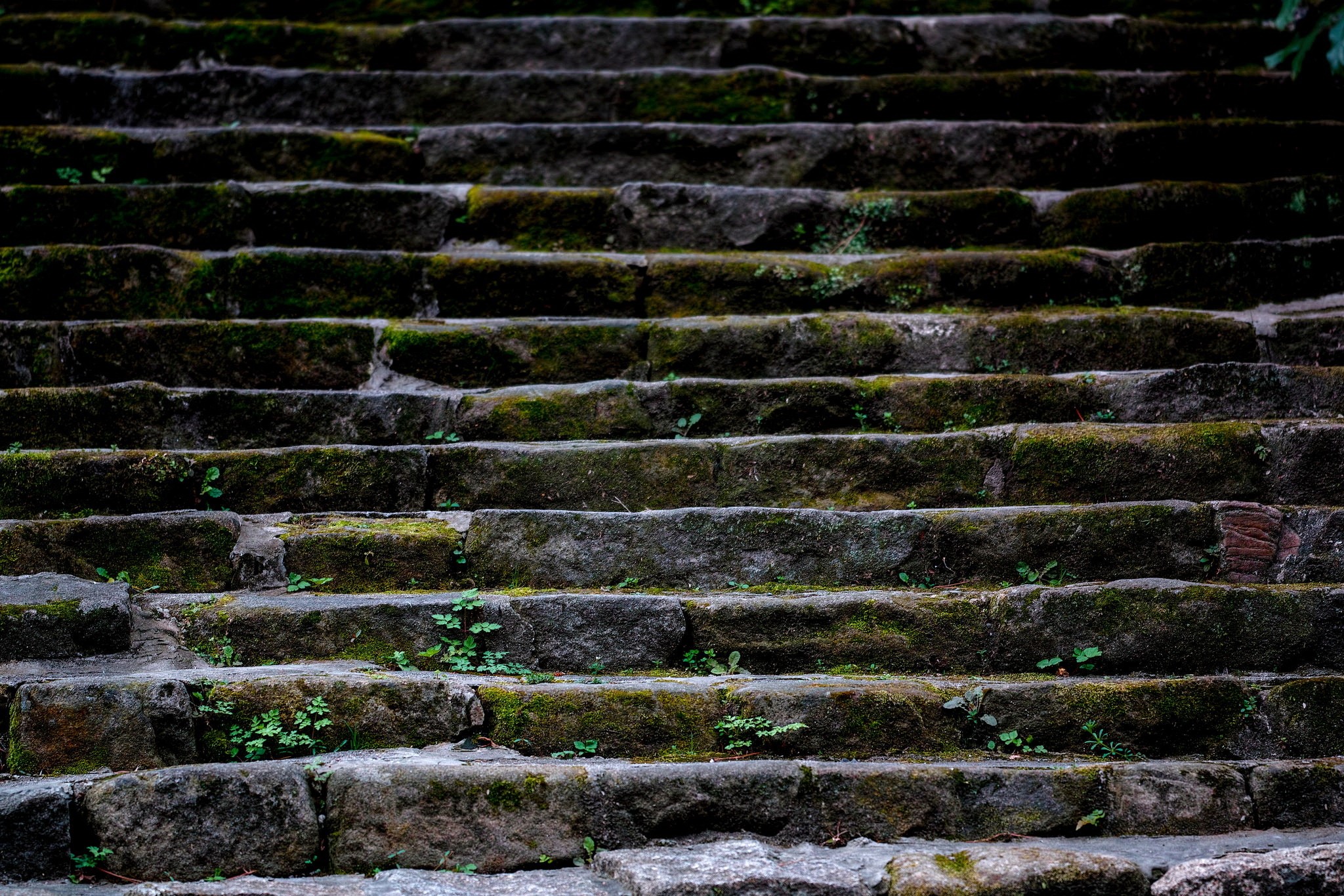 Moss-covered stone stairs HD Wallpaper
