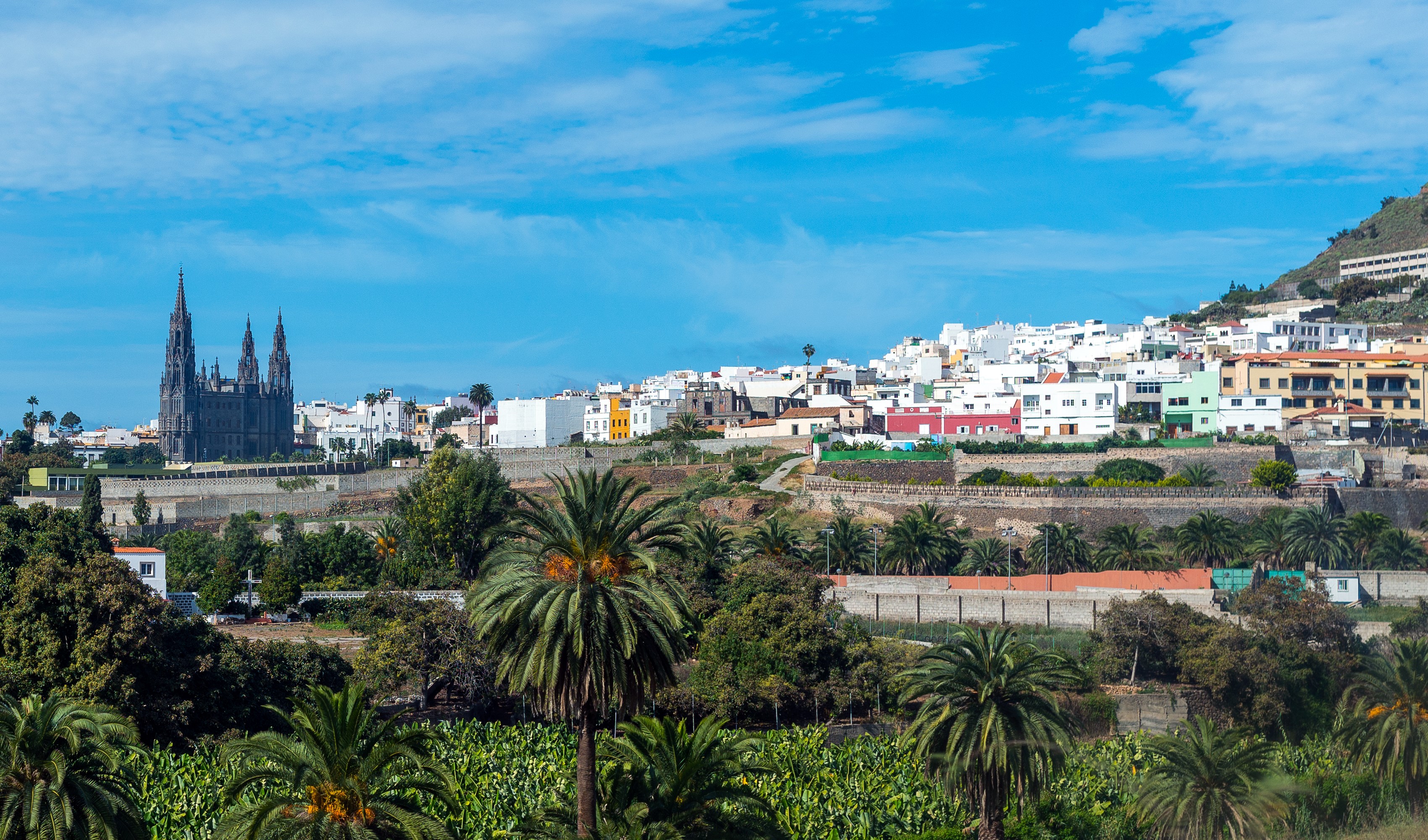 Arucas, Gran Canaria, Spain with church and palm trees HD Wallpaper