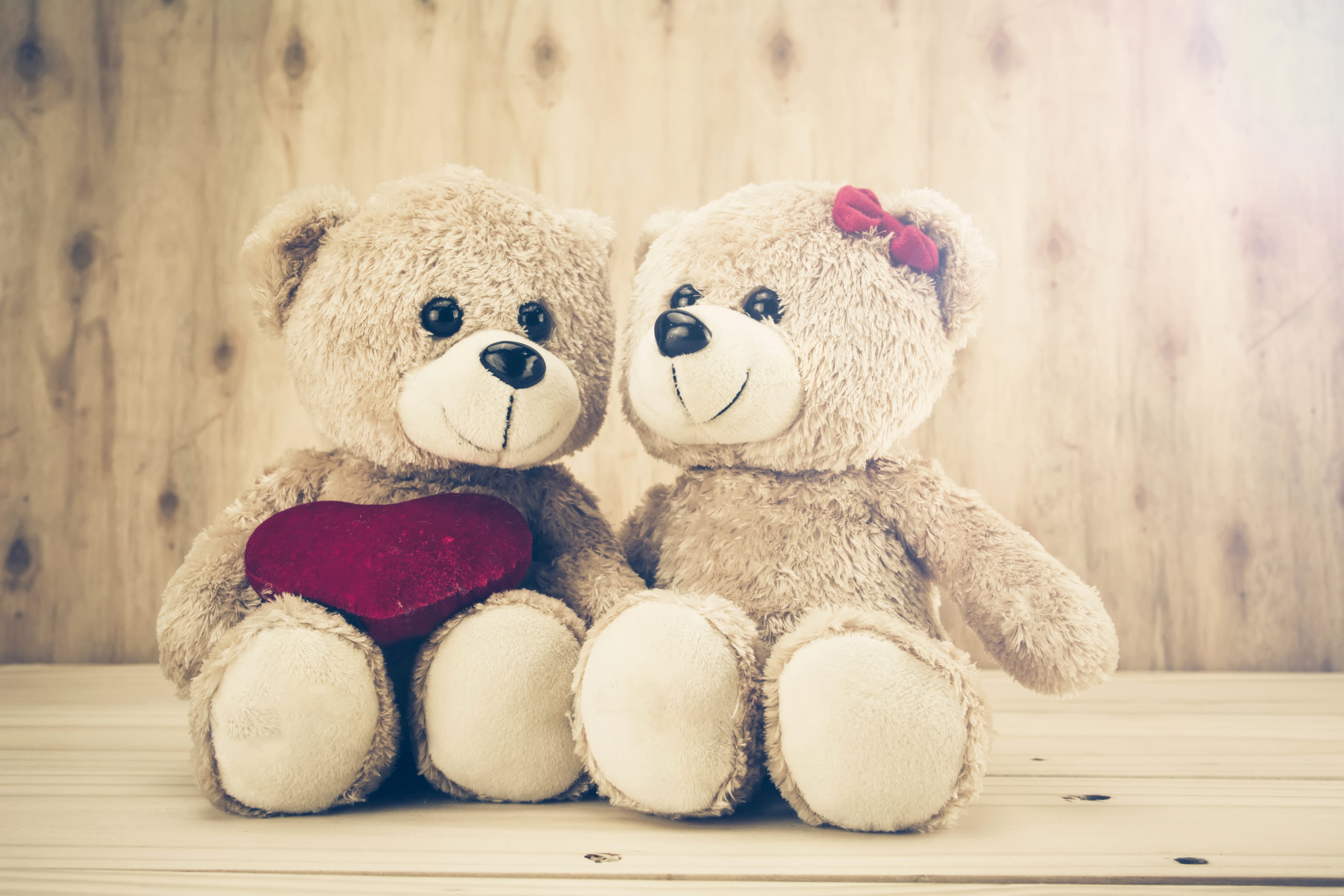 Two teddy bears with a heart HD Wallpaper