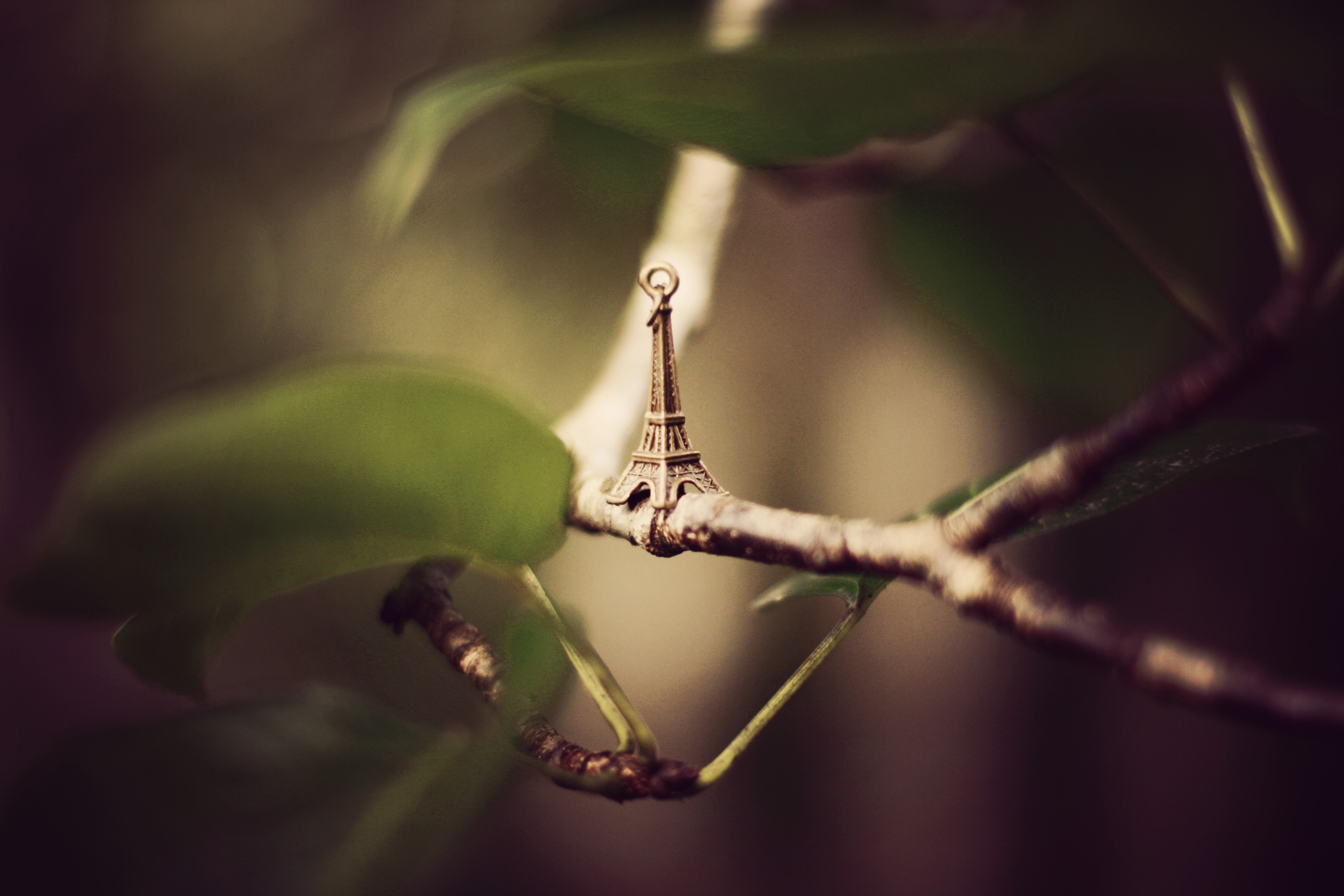 Miniature Eiffel Tower Souvenir on a Branch HD Wallpaper