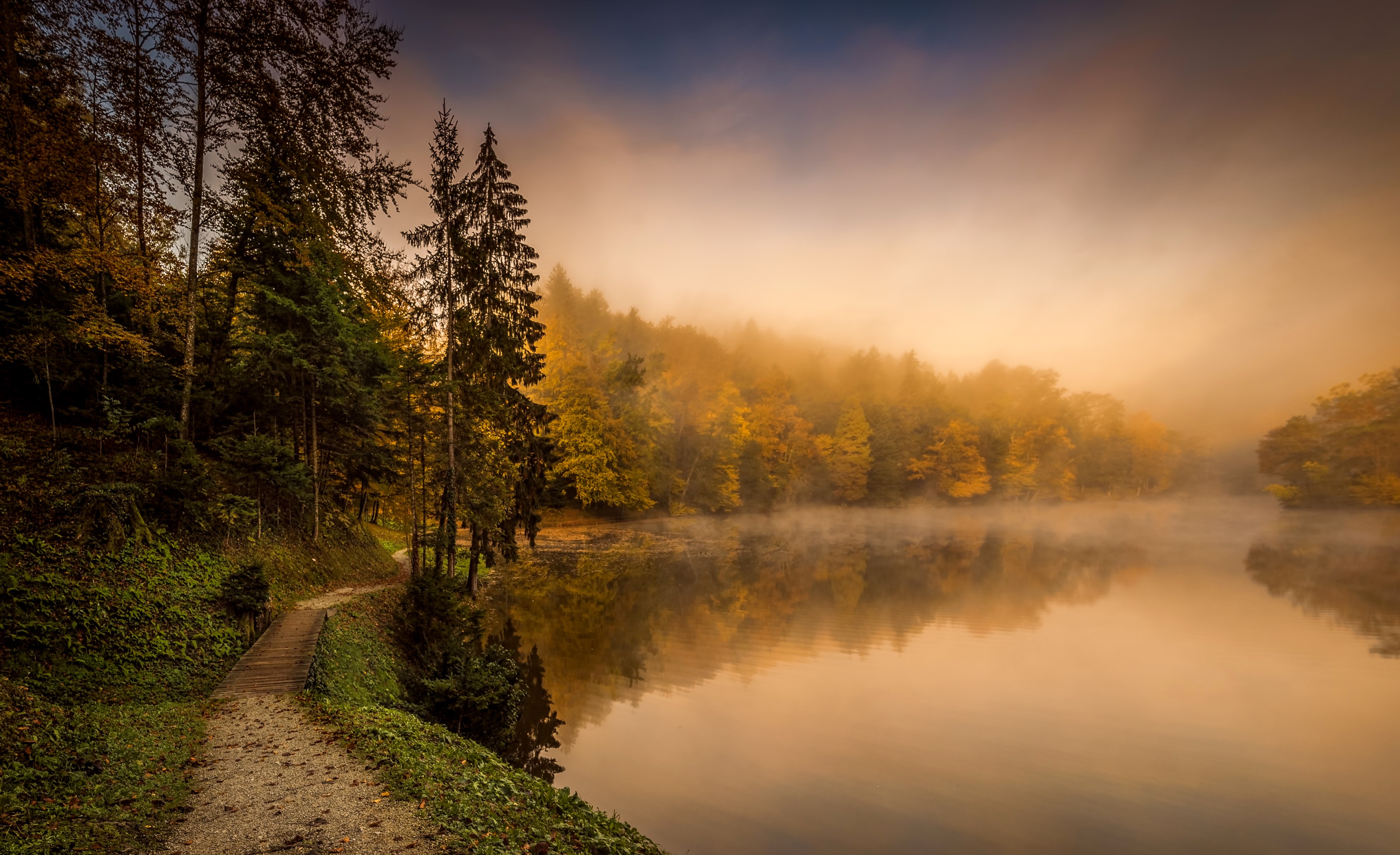 Lake and forest with fog in Trakoscan, Croatia HD Wallpaper