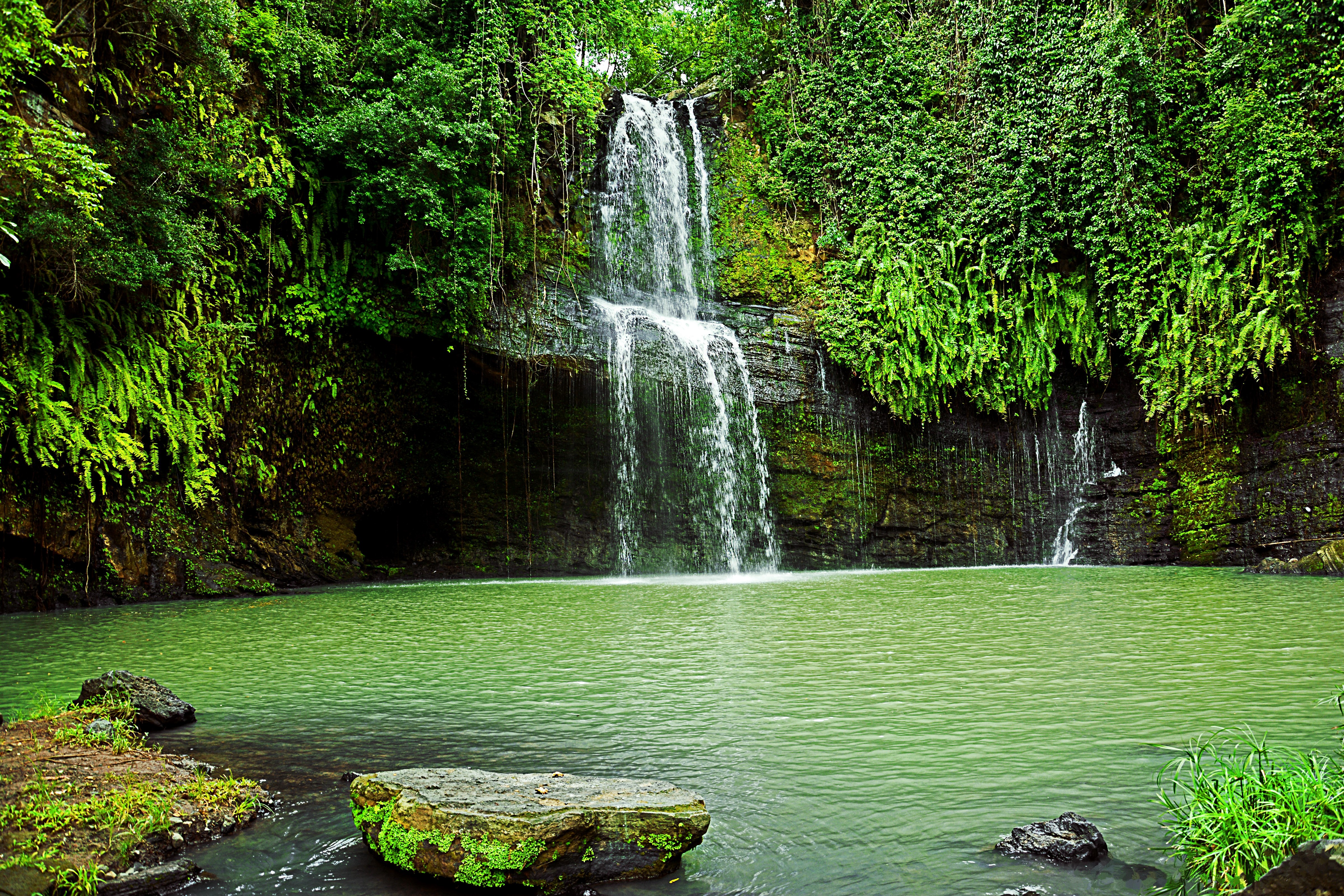 Waterfall cascading into a green pool surrounded by jungle HD Wallpaper