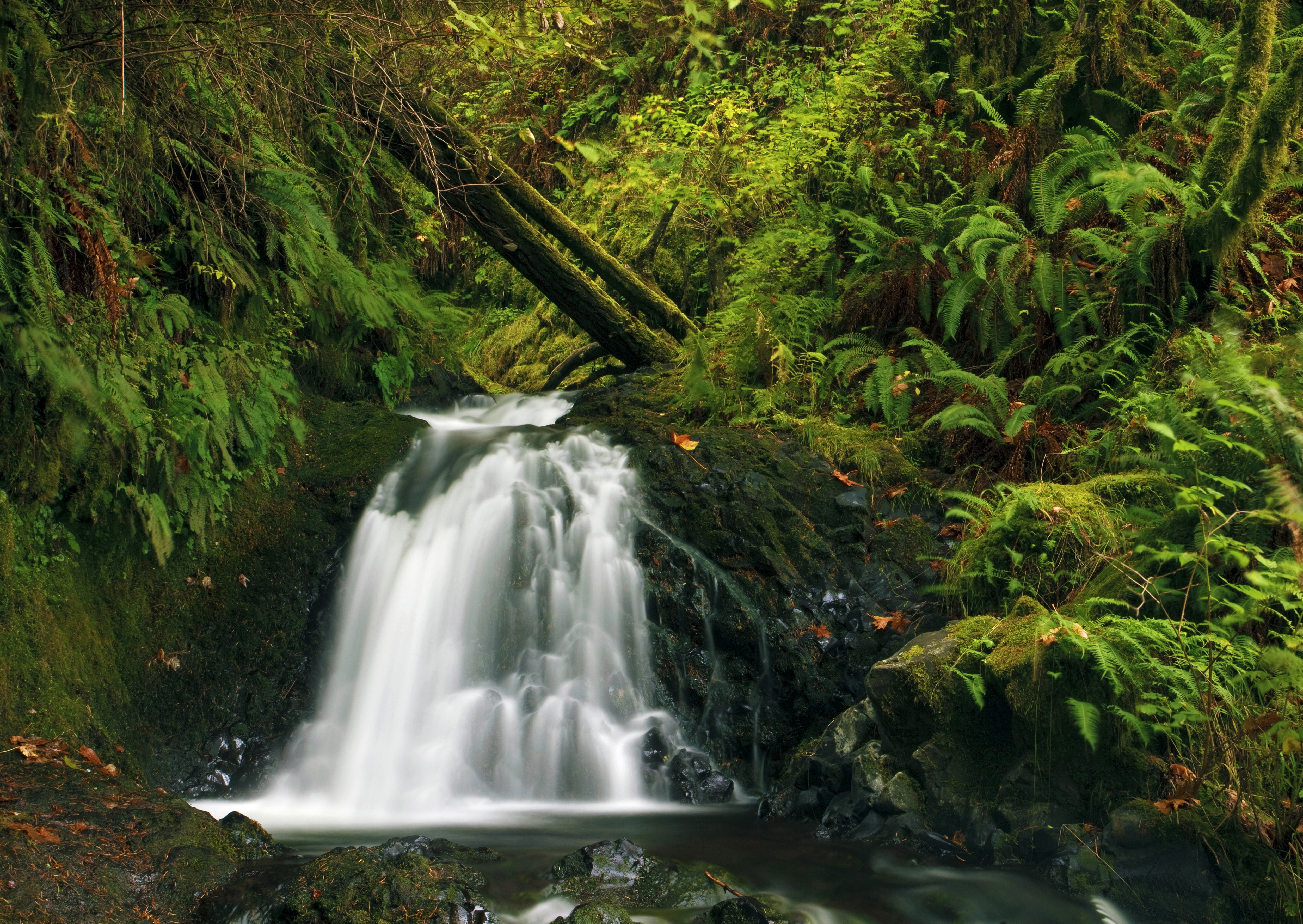 Waterfall in Latourell, Oregon, USA HD Wallpaper