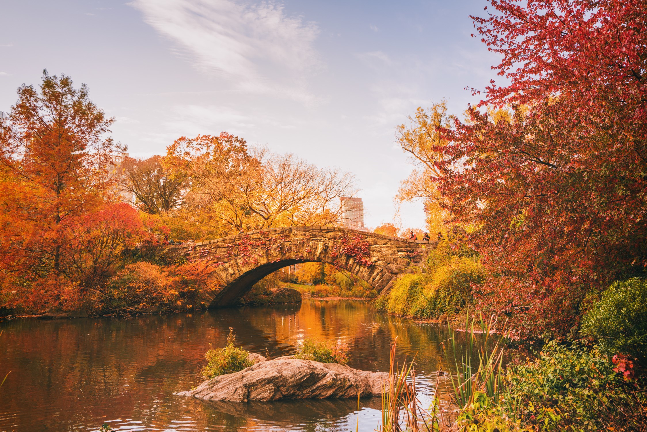Gapstow Bridge over pond in Central Park, New York City during autumn HD Wallpaper