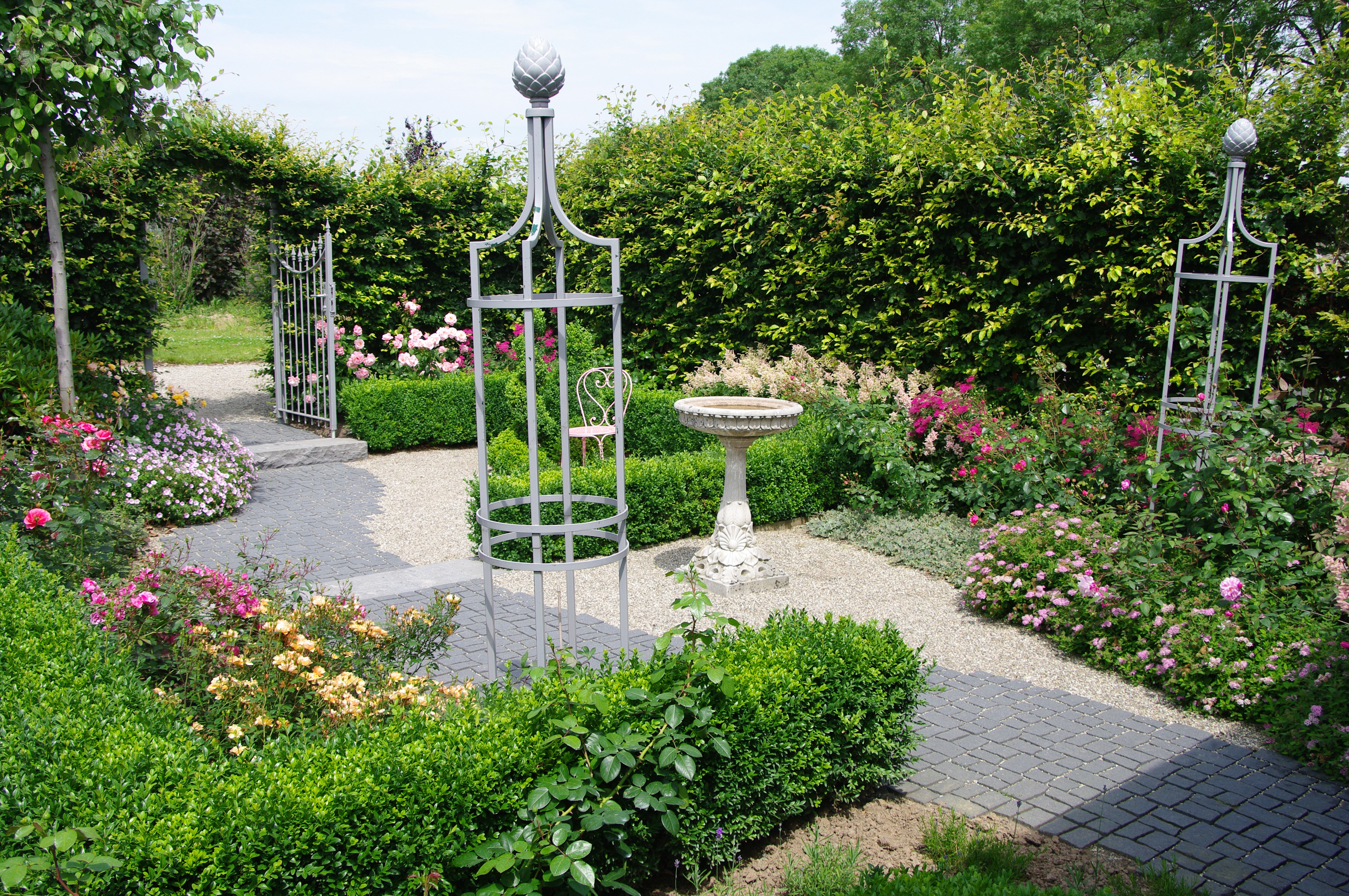 Garden with roses, hedges, and a bird bath HD Wallpaper