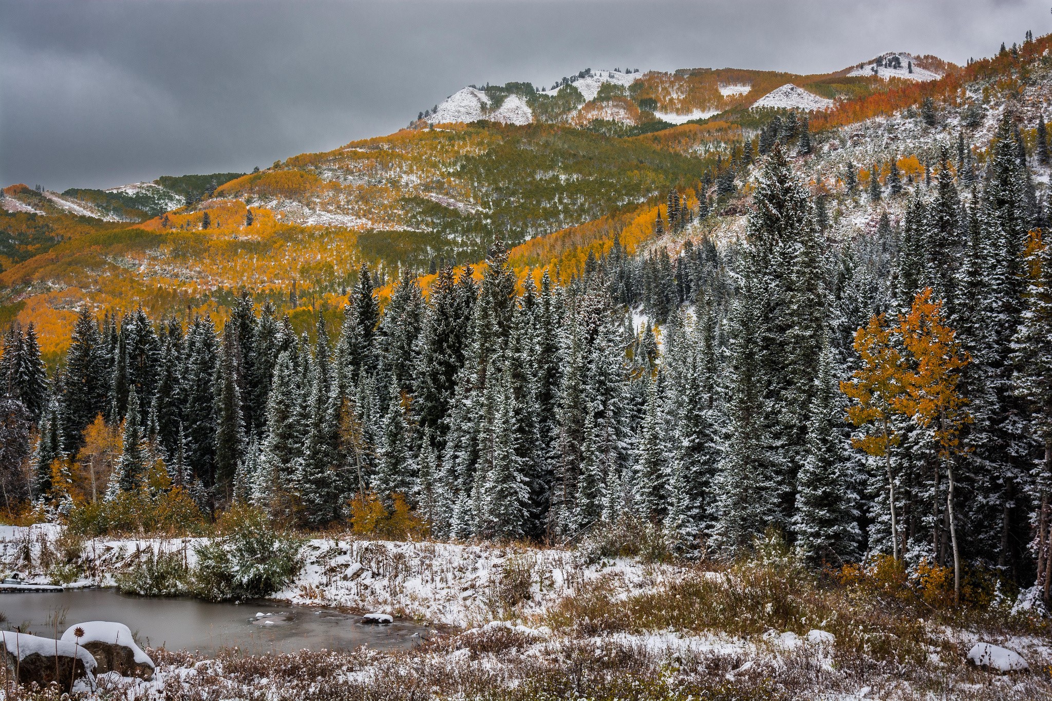 Snowy Mountains with Autumn Trees in Utah, USA HD Wallpaper