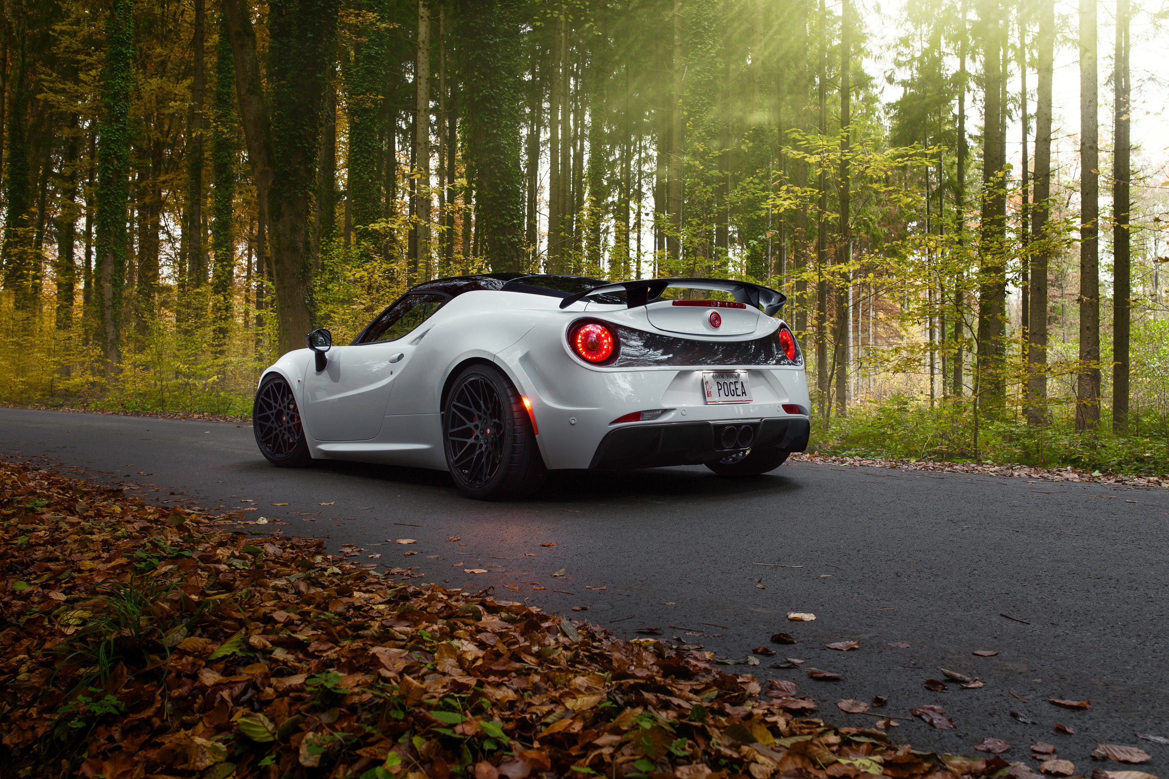 White Pogea Racing 4C Alfa Romeo in Forest HD Wallpaper