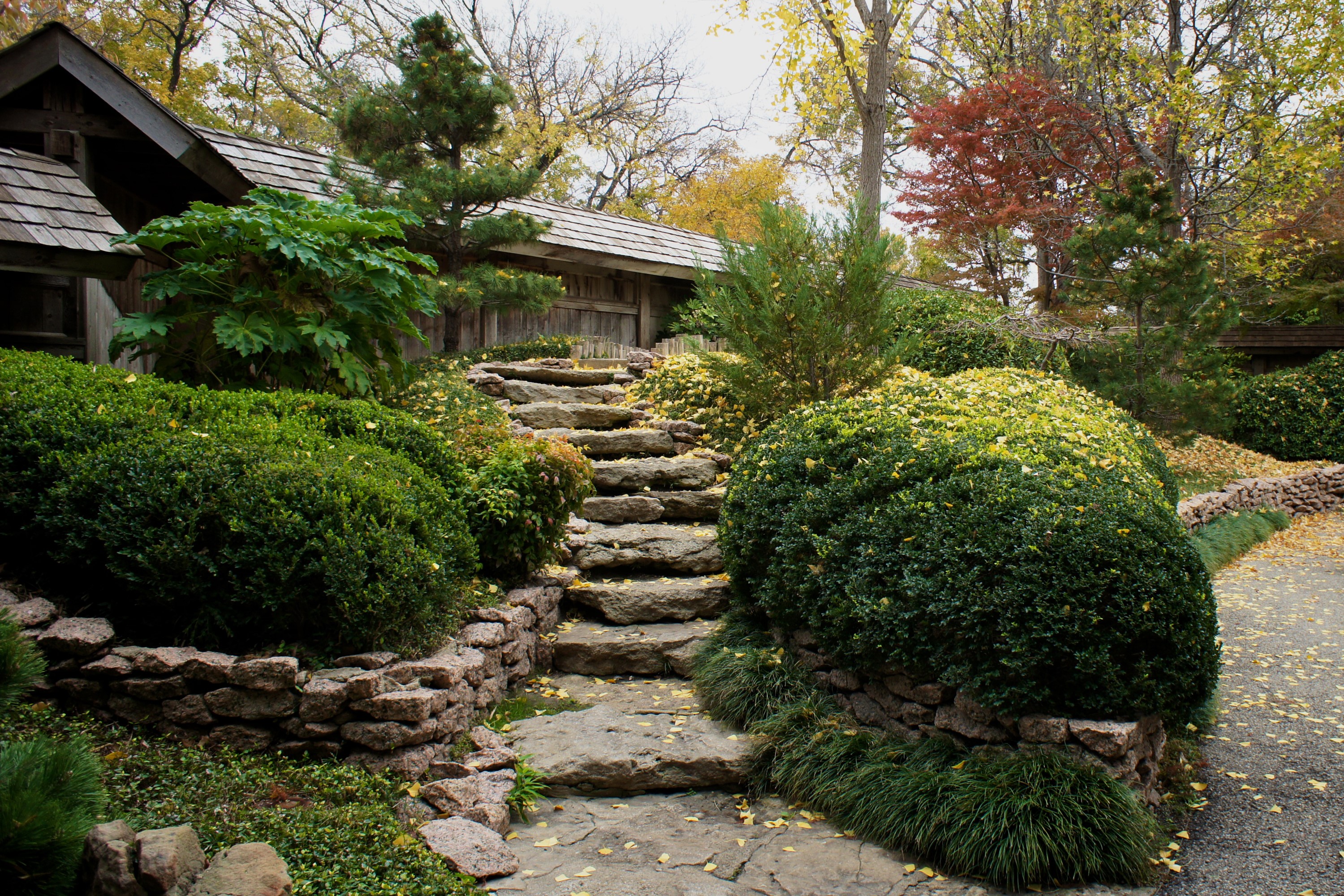 Stone stairs and shrubs in a garden HD Wallpaper