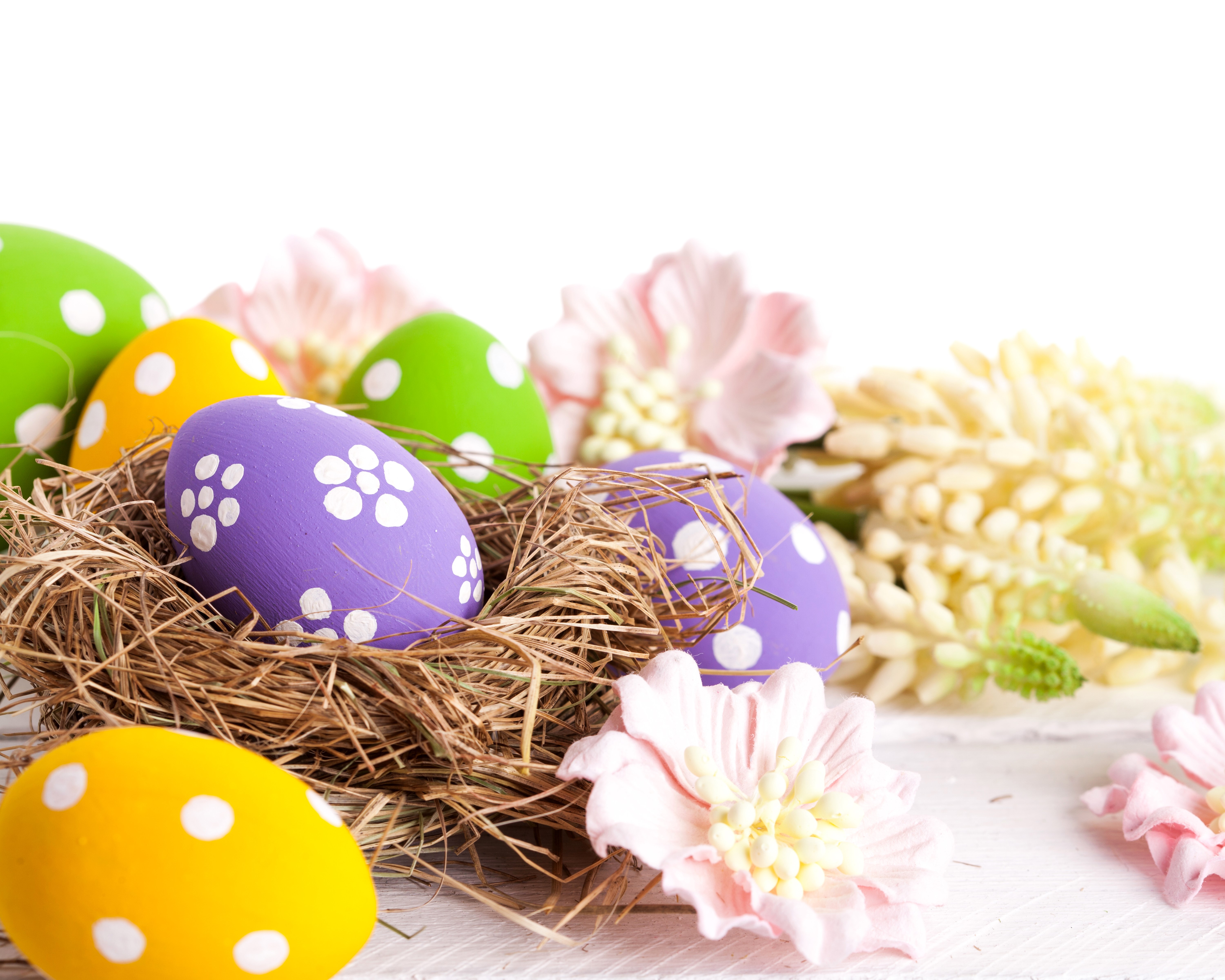 Easter Eggs in a Nest with Flowers HD Wallpaper