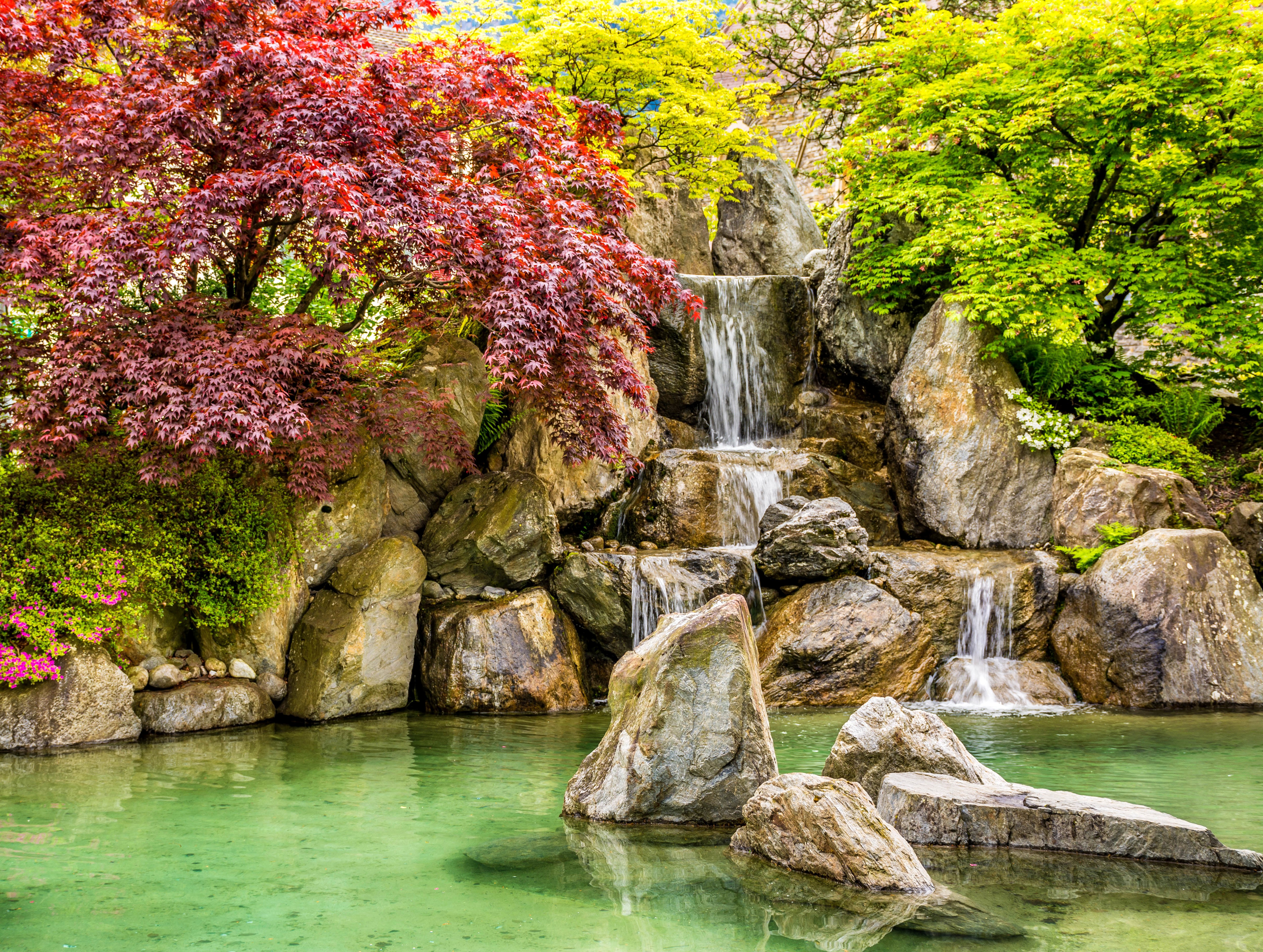 Japanese Garden with Waterfall and Red Maple Tree HD Wallpaper