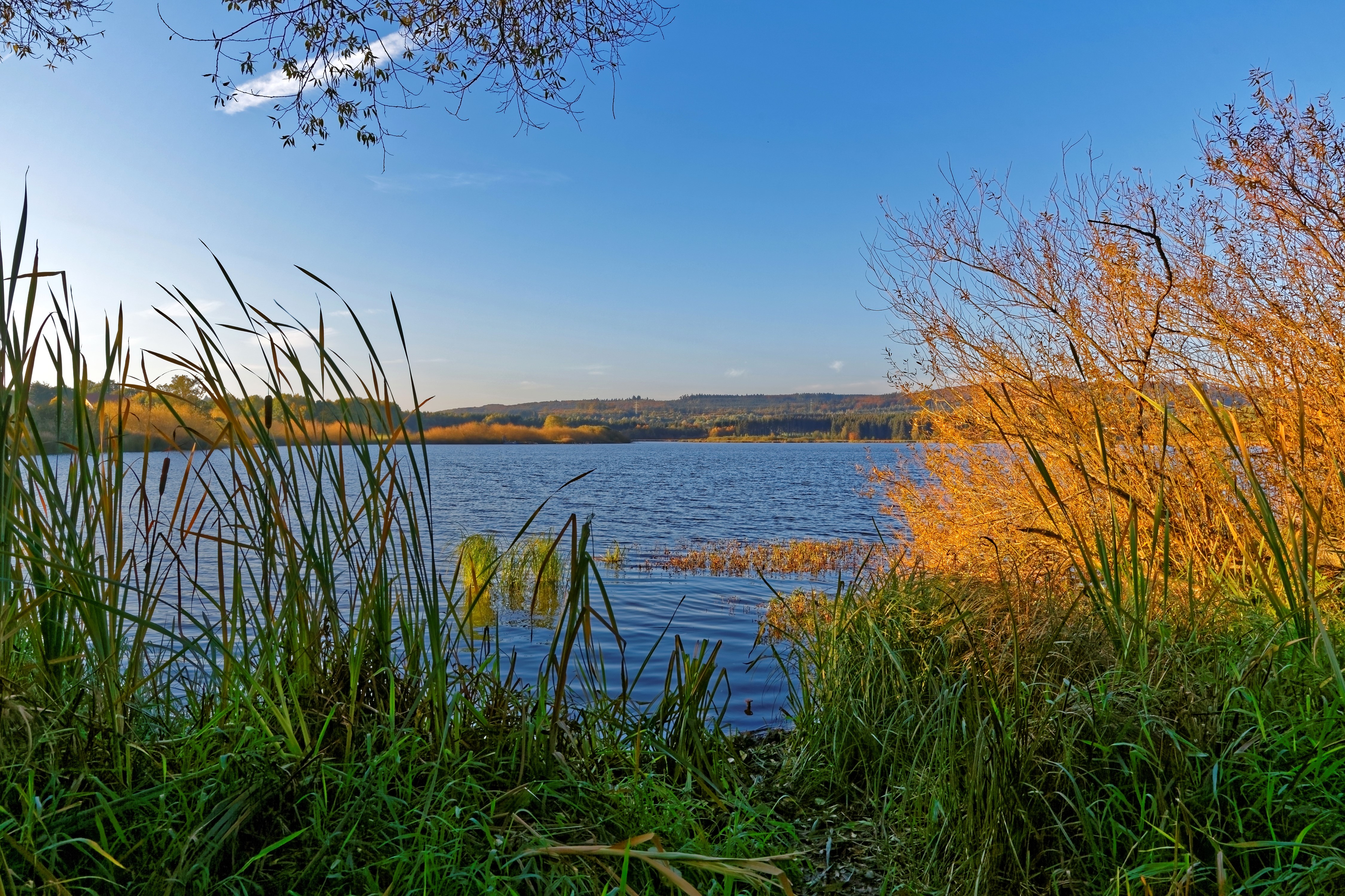Lake in Germany with Autumn Trees HD Wallpaper