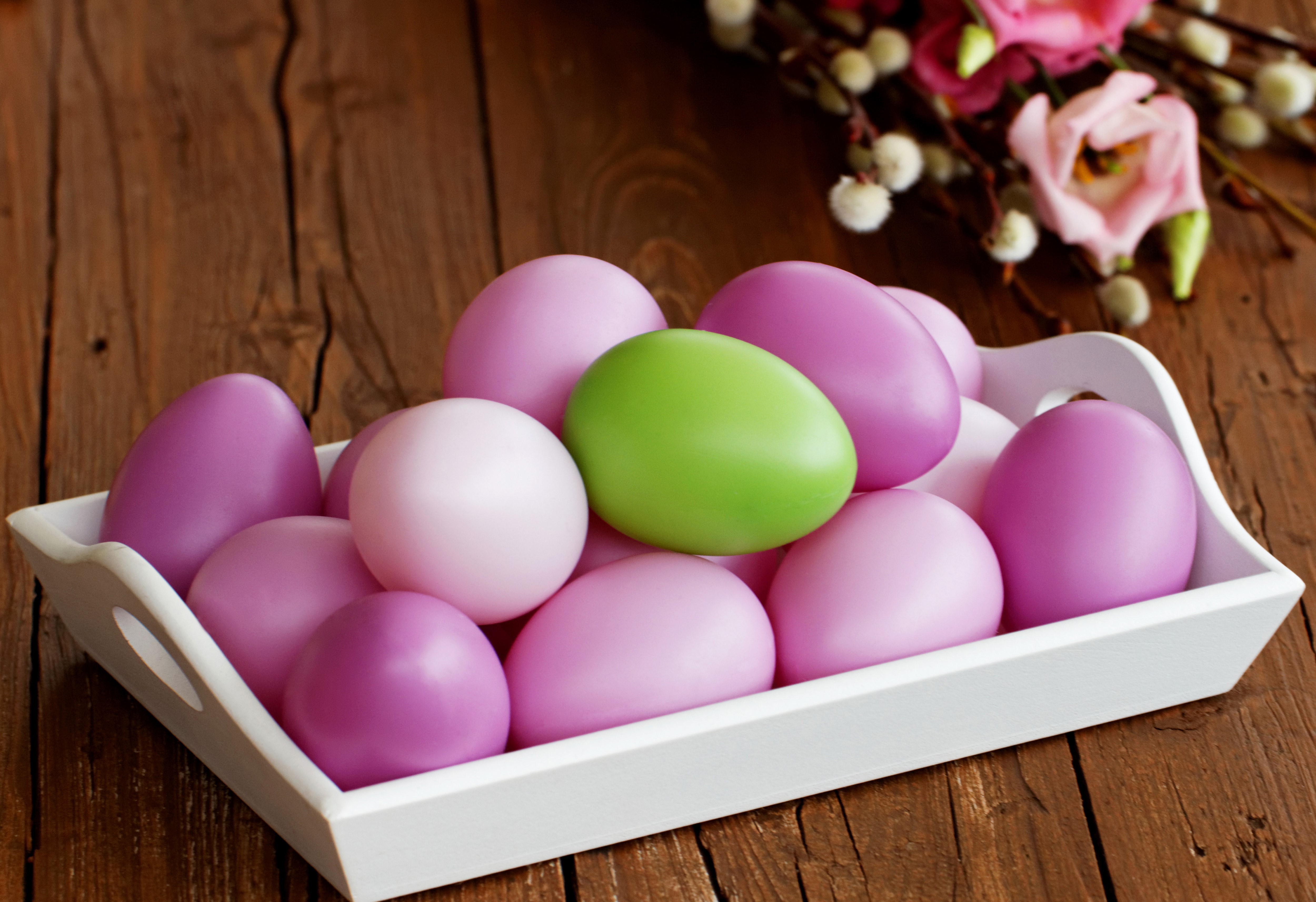 Easter Eggs in a Tray HD Wallpaper
