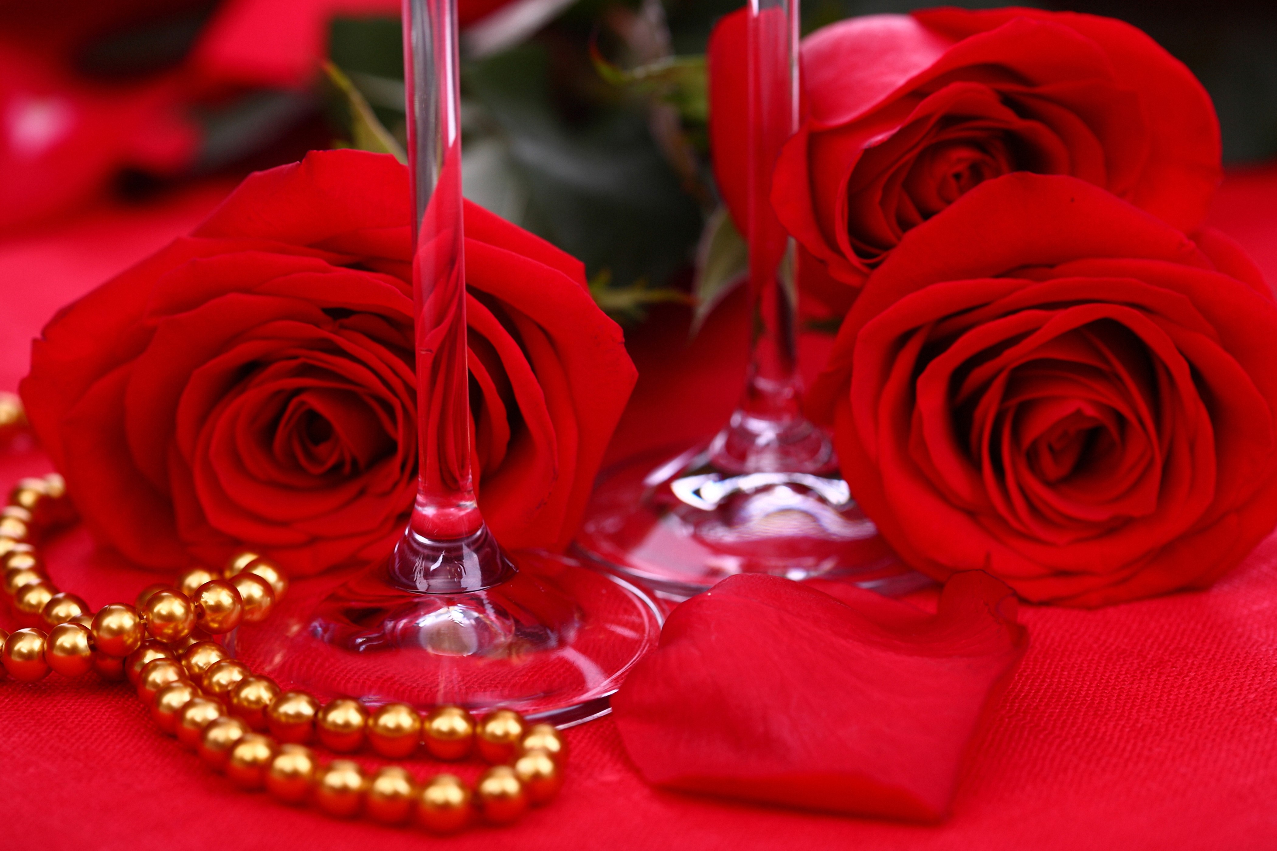 Red Roses with Gold Beads and Wine Glasses HD Wallpaper