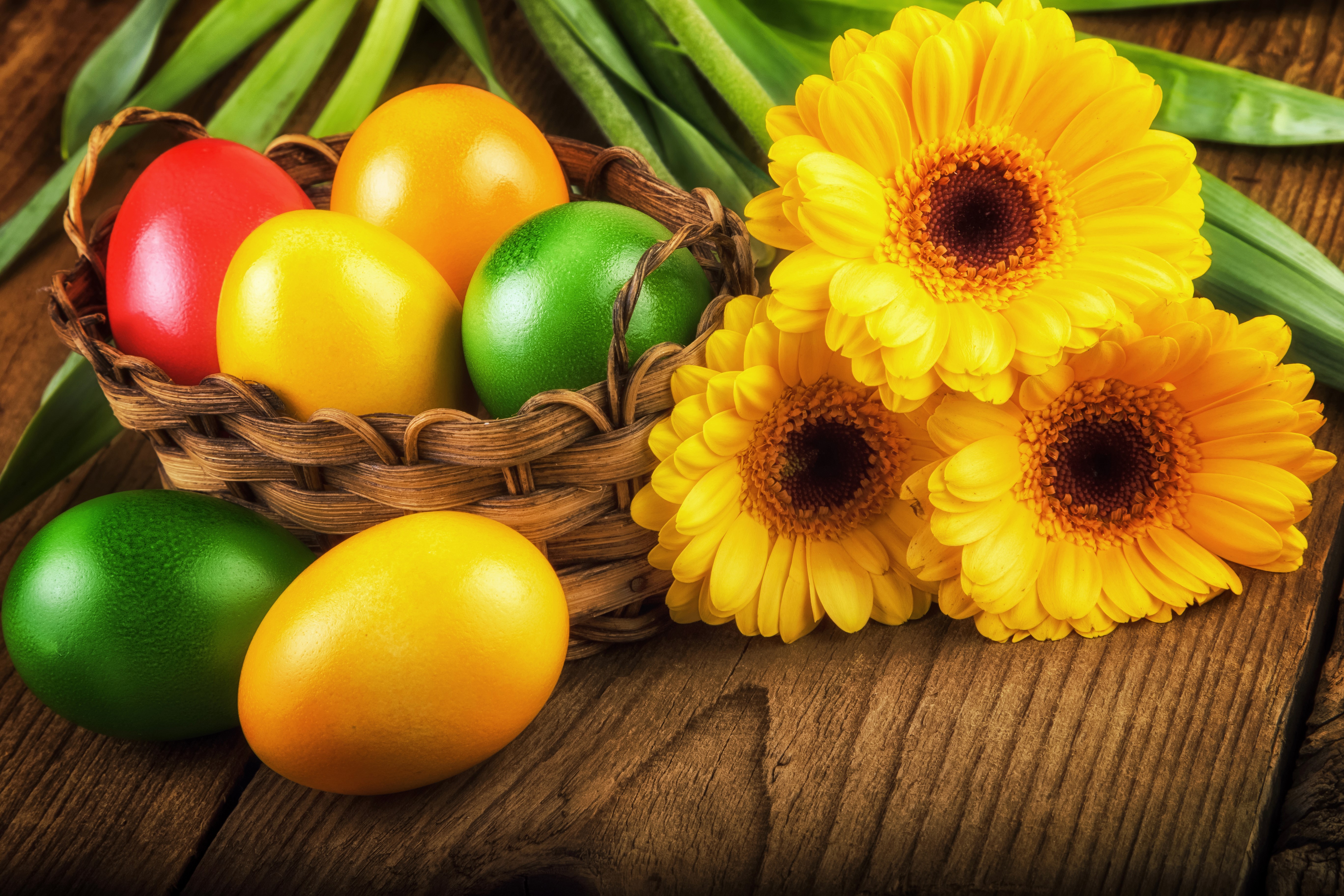 Easter Eggs in a Basket with Yellow Gerbera Daisies HD Wallpaper