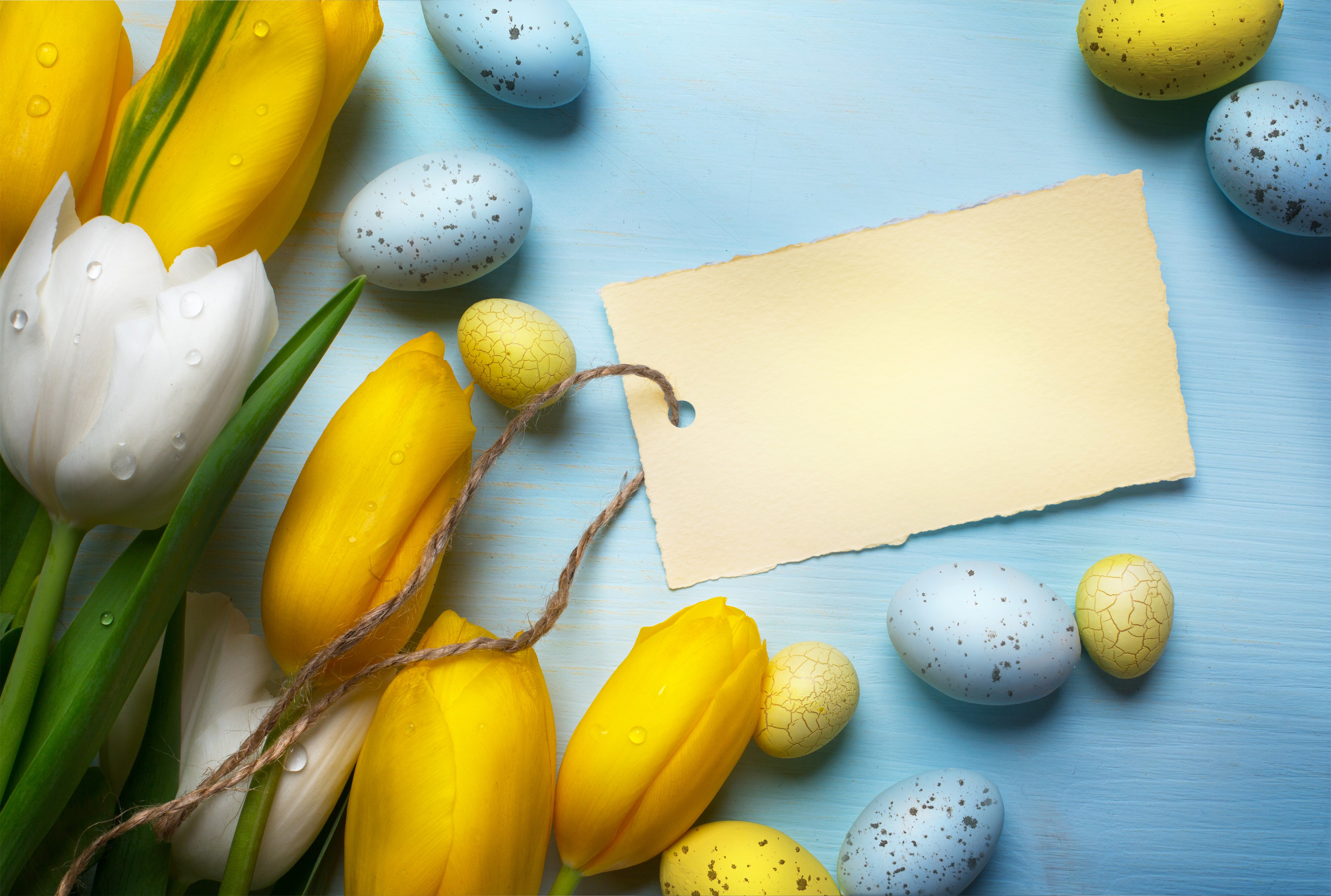 Easter Tulips and Eggs with Greeting Card HD Wallpaper