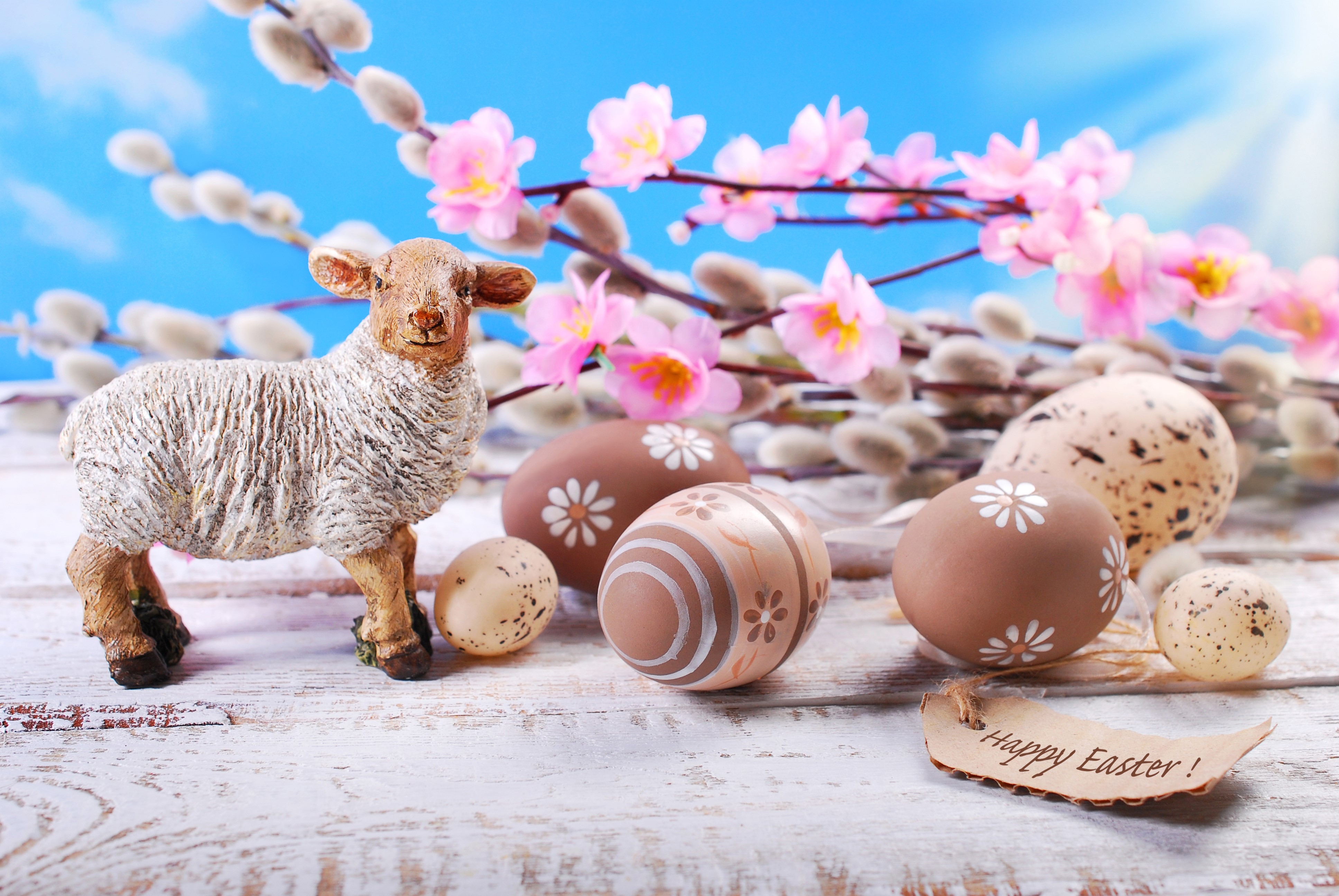 Easter lamb, decorated eggs, and pussy willow branches HD Wallpaper