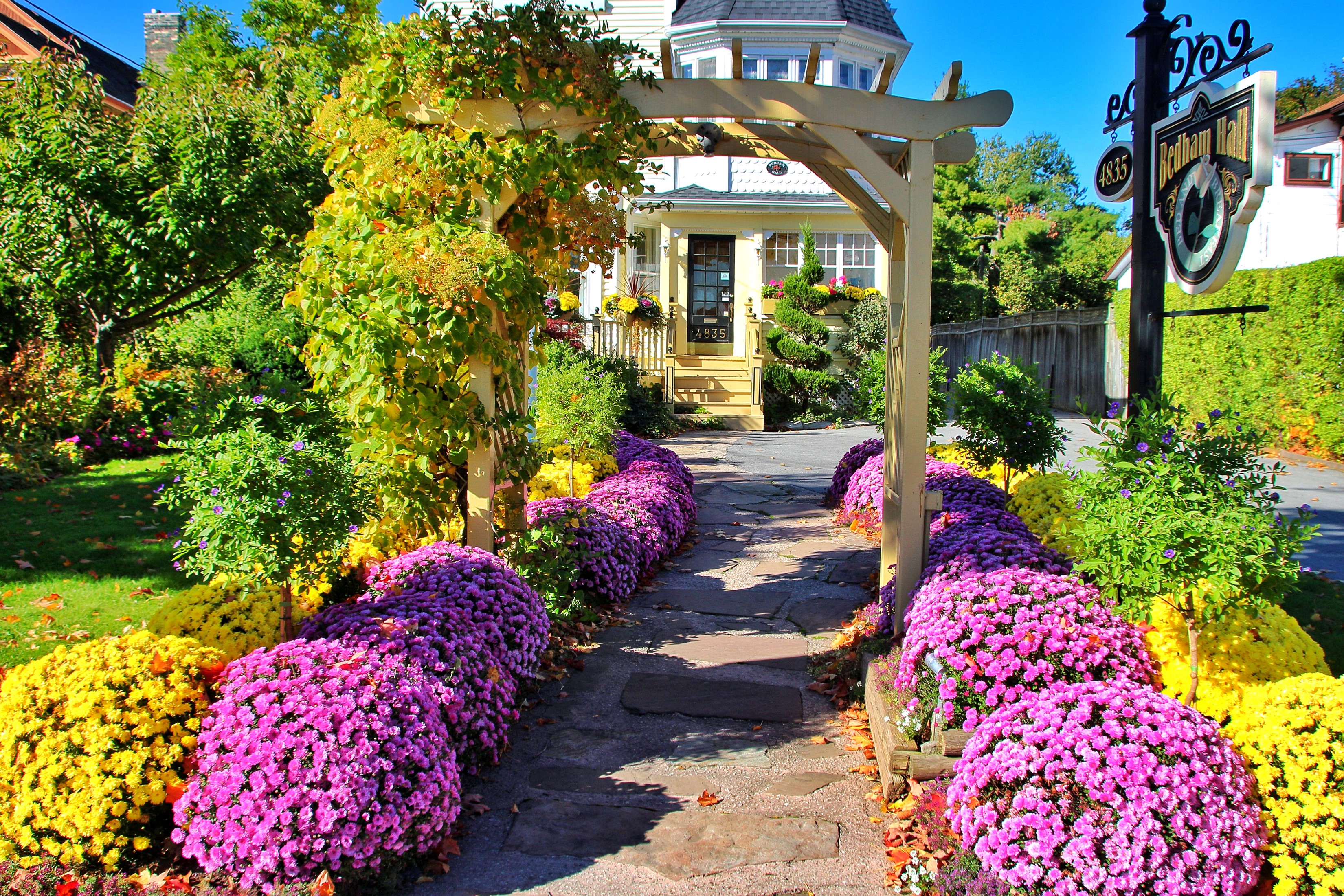 House with Chrysanthemums and Pergola in Niagara Falls, Ontario HD Wallpaper