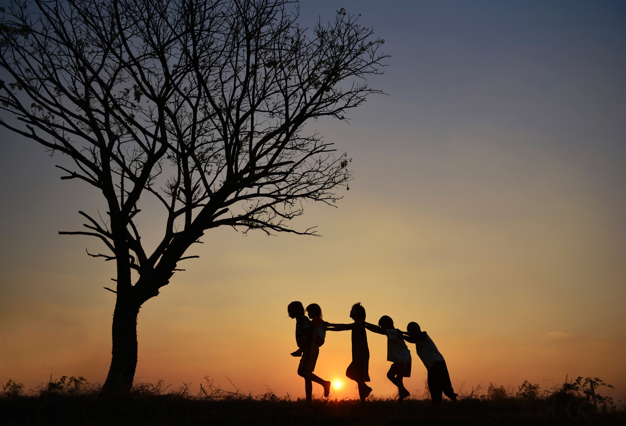 Children playing near a tree at sunset HD Wallpaper