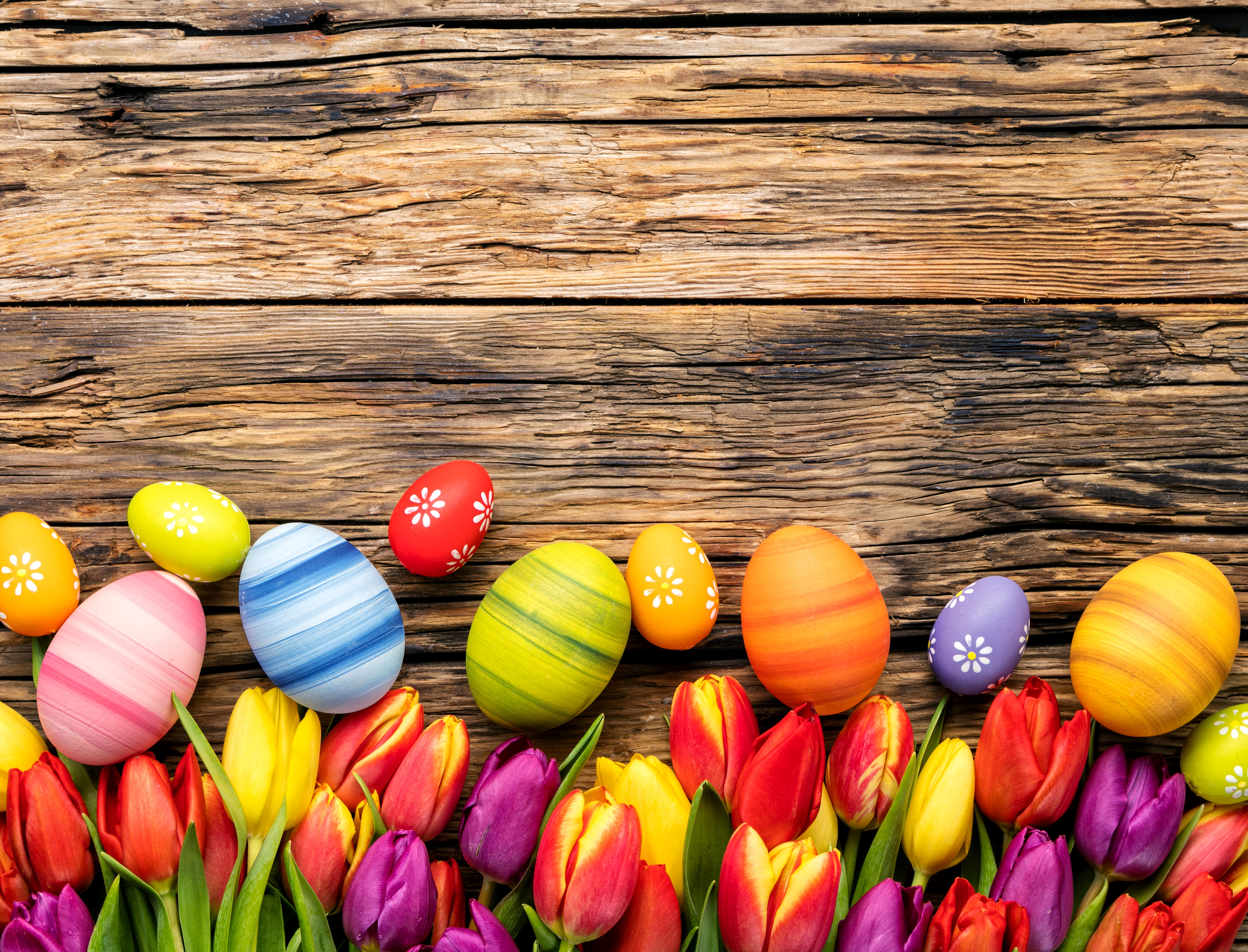 Easter Eggs and Tulips on Wooden Background HD Wallpaper