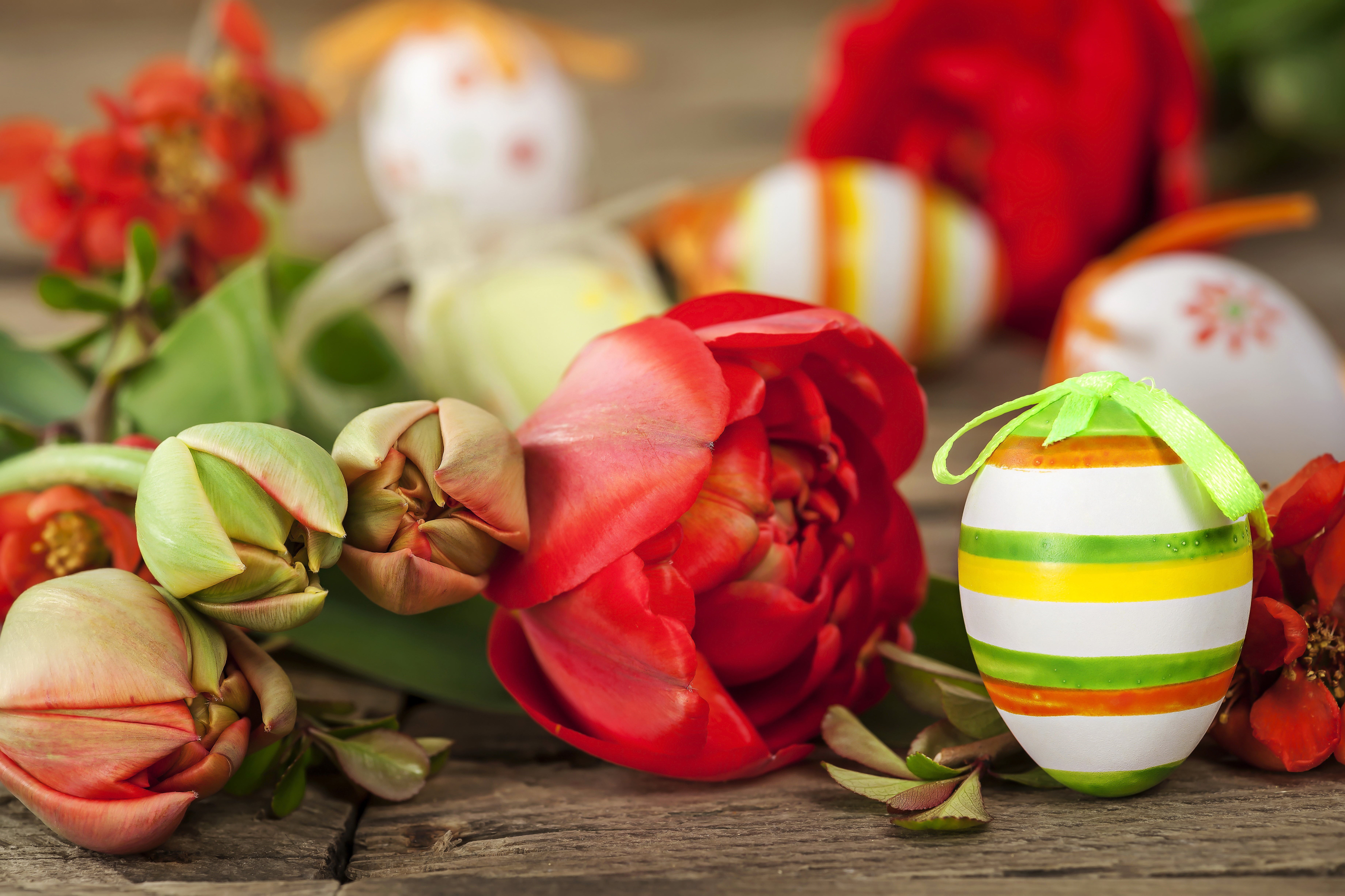 Easter Tulips and Eggs on Wooden Table HD Wallpaper