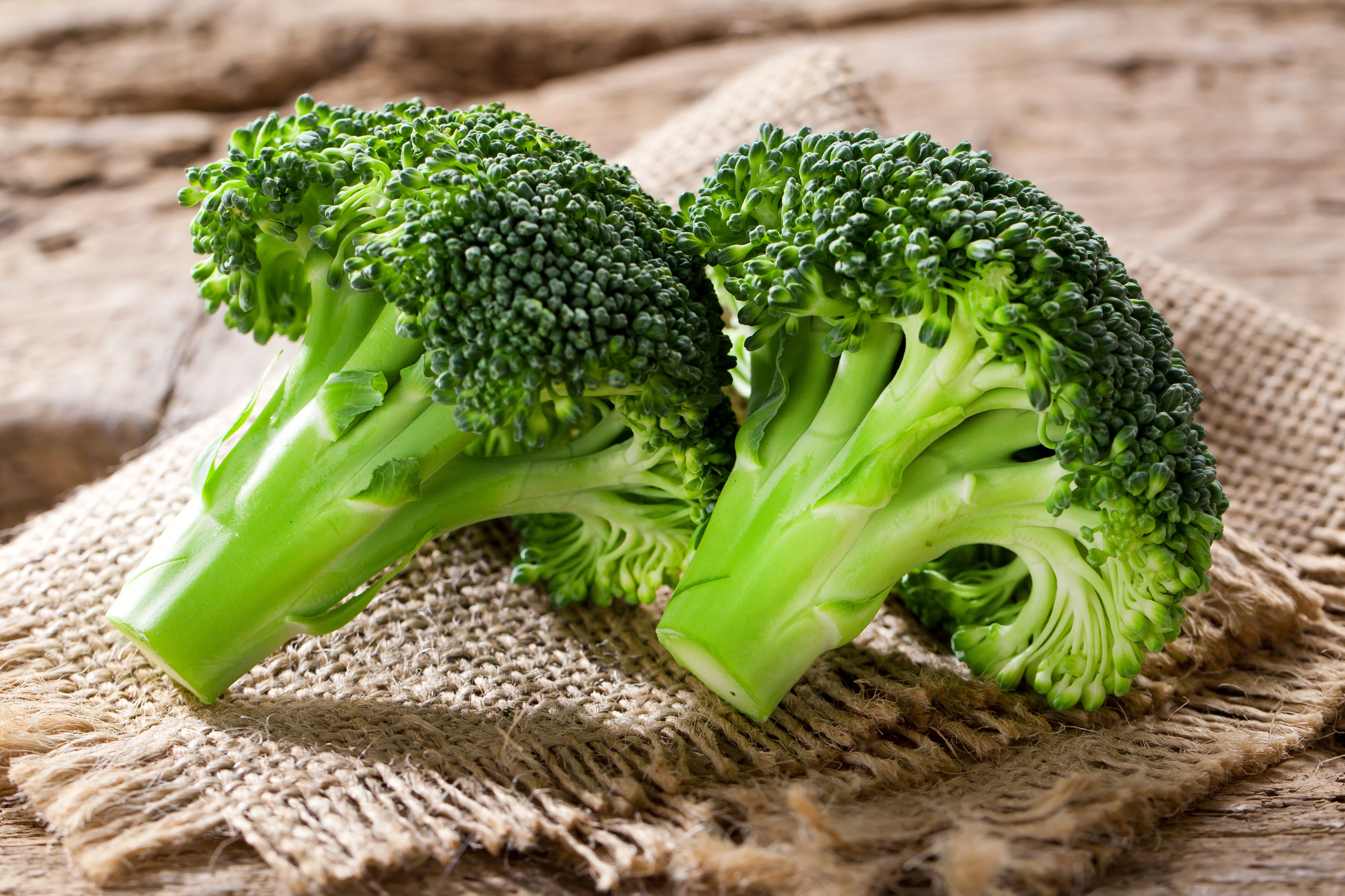 Two broccoli florets on burlap HD Wallpaper