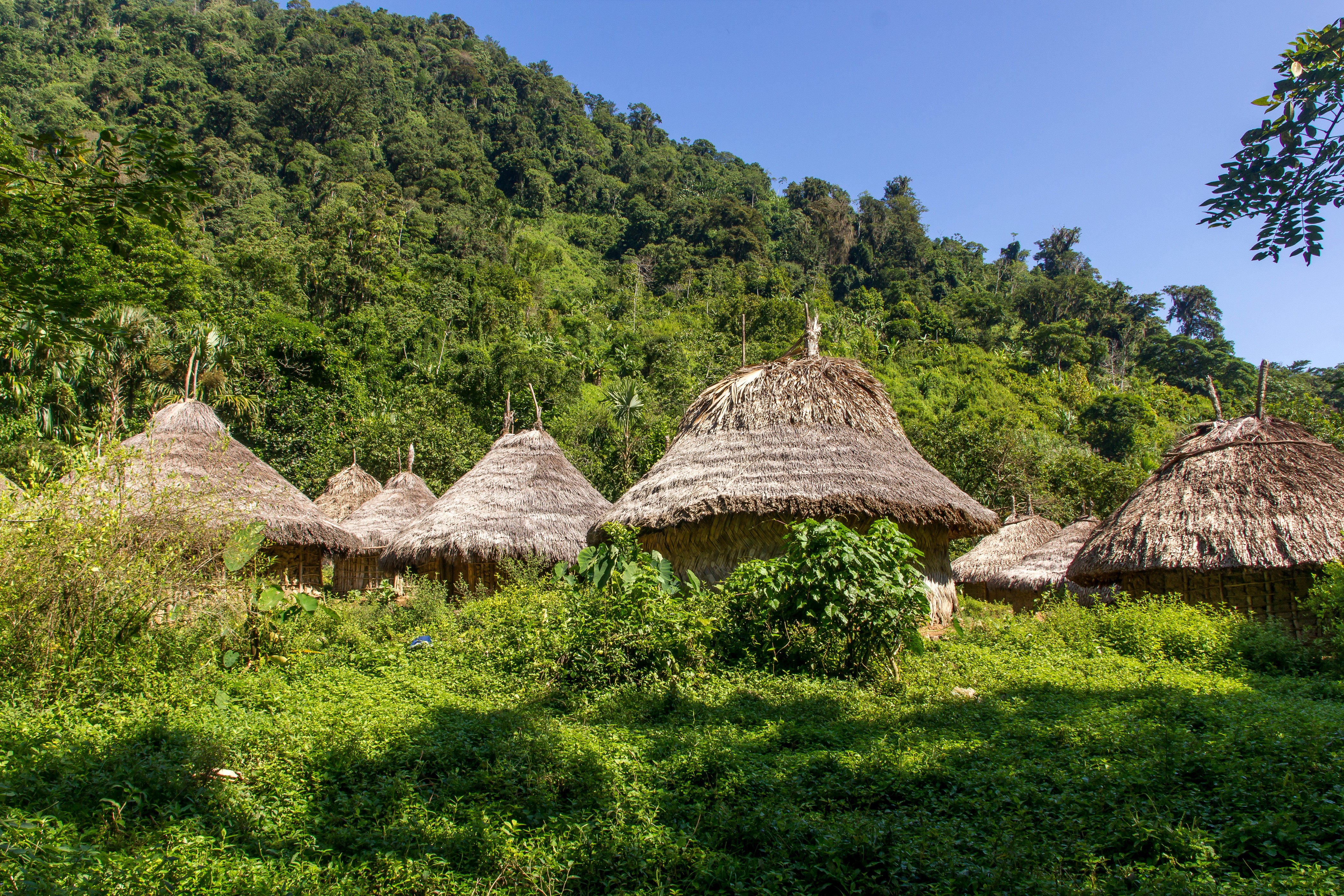 Kogi Village in the Tropics of Colombia HD Wallpaper