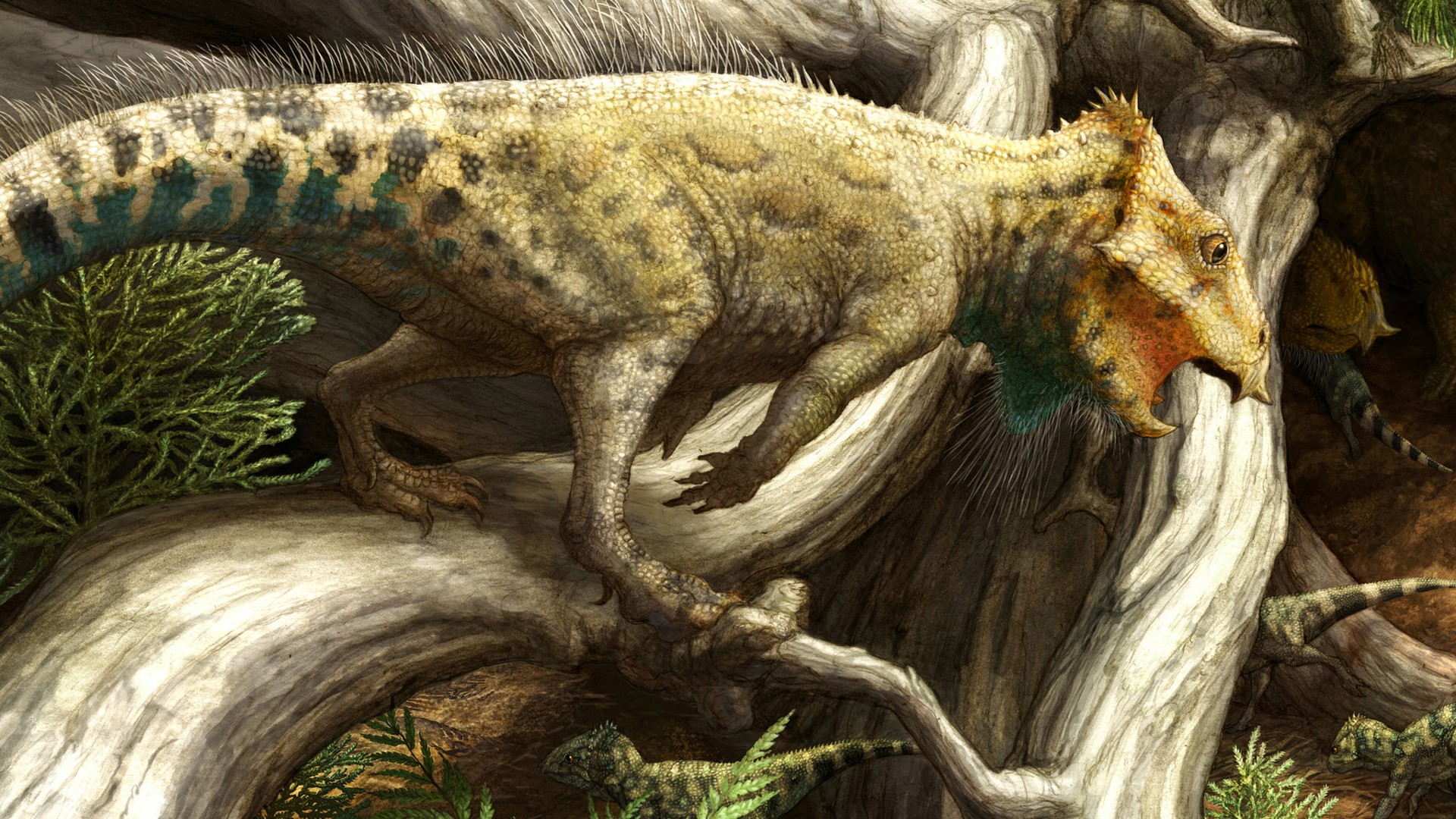 Aquilops dinosaur perched on tree branches HD Wallpaper