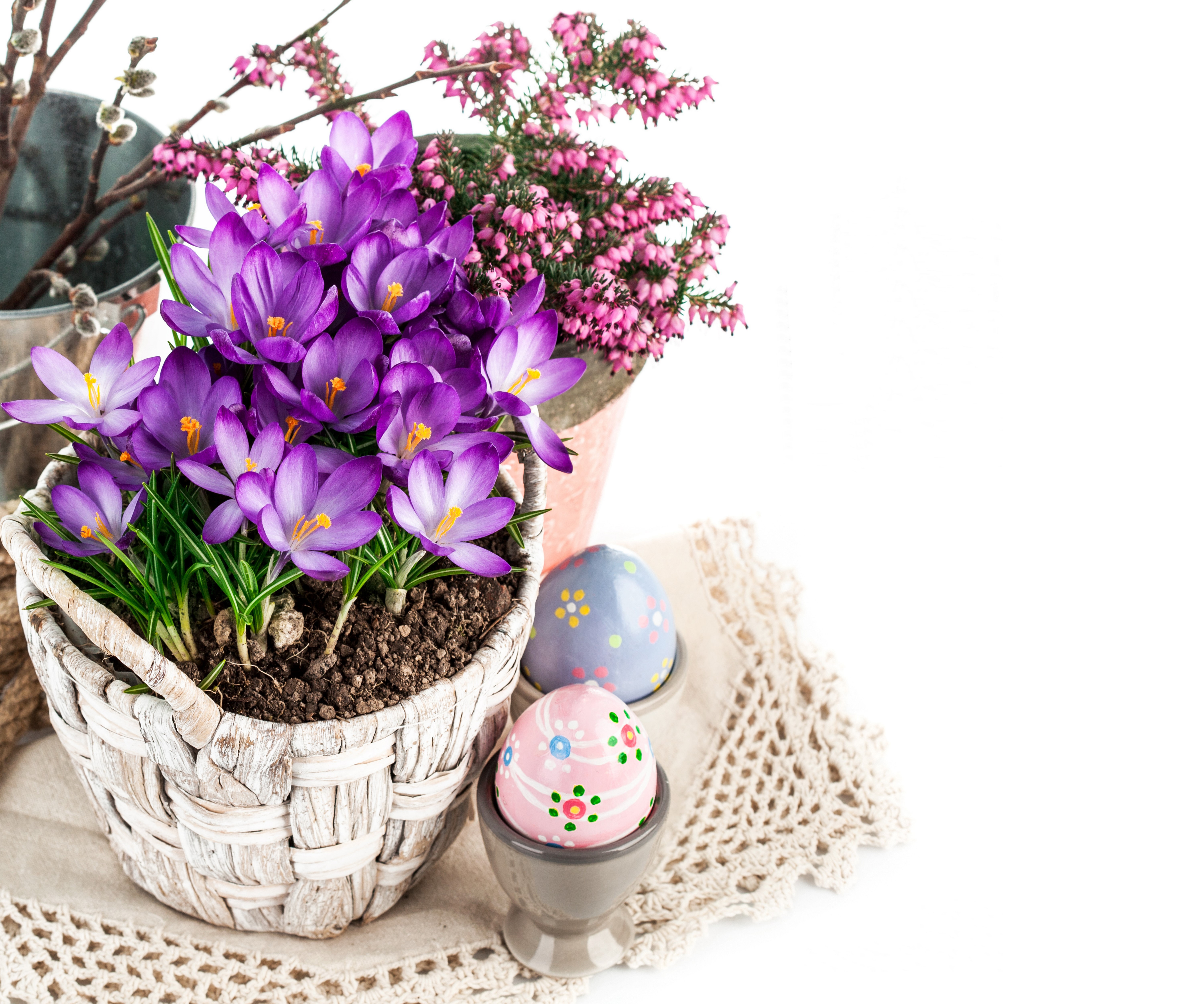 Easter Crocuses and Decorated Eggs in Wicker Basket HD Wallpaper