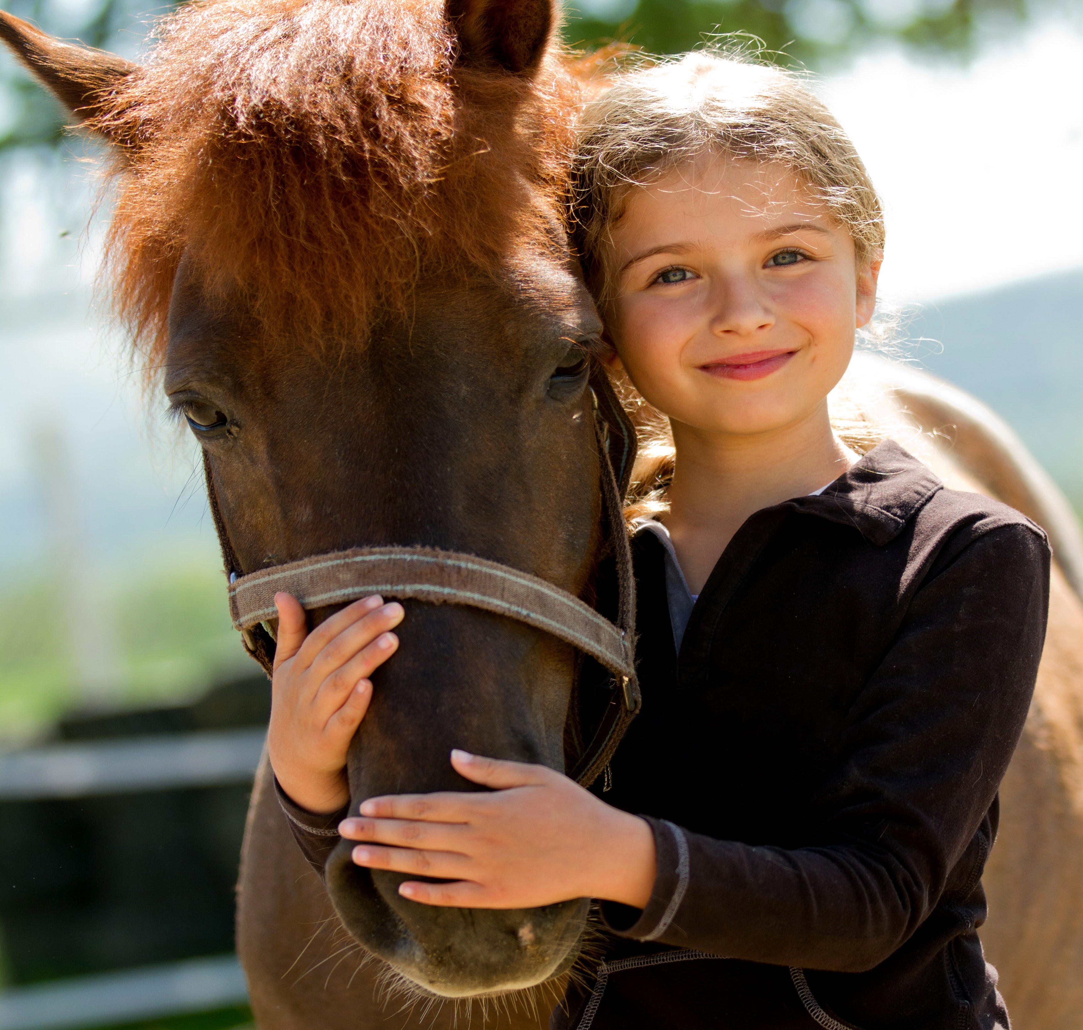 Young girl hugging a brown horse HD Wallpaper