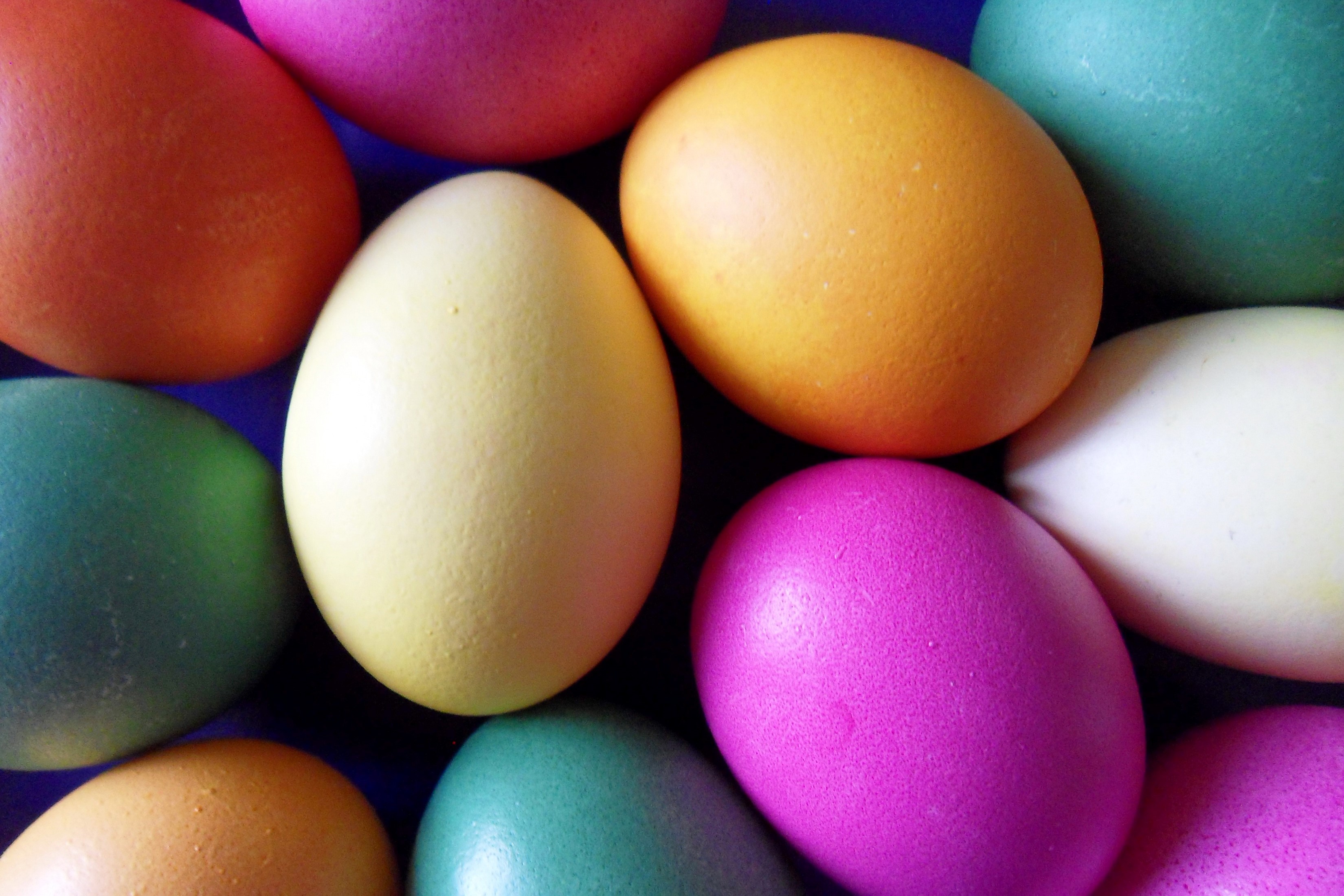 Colorful Easter Eggs HD Wallpaper